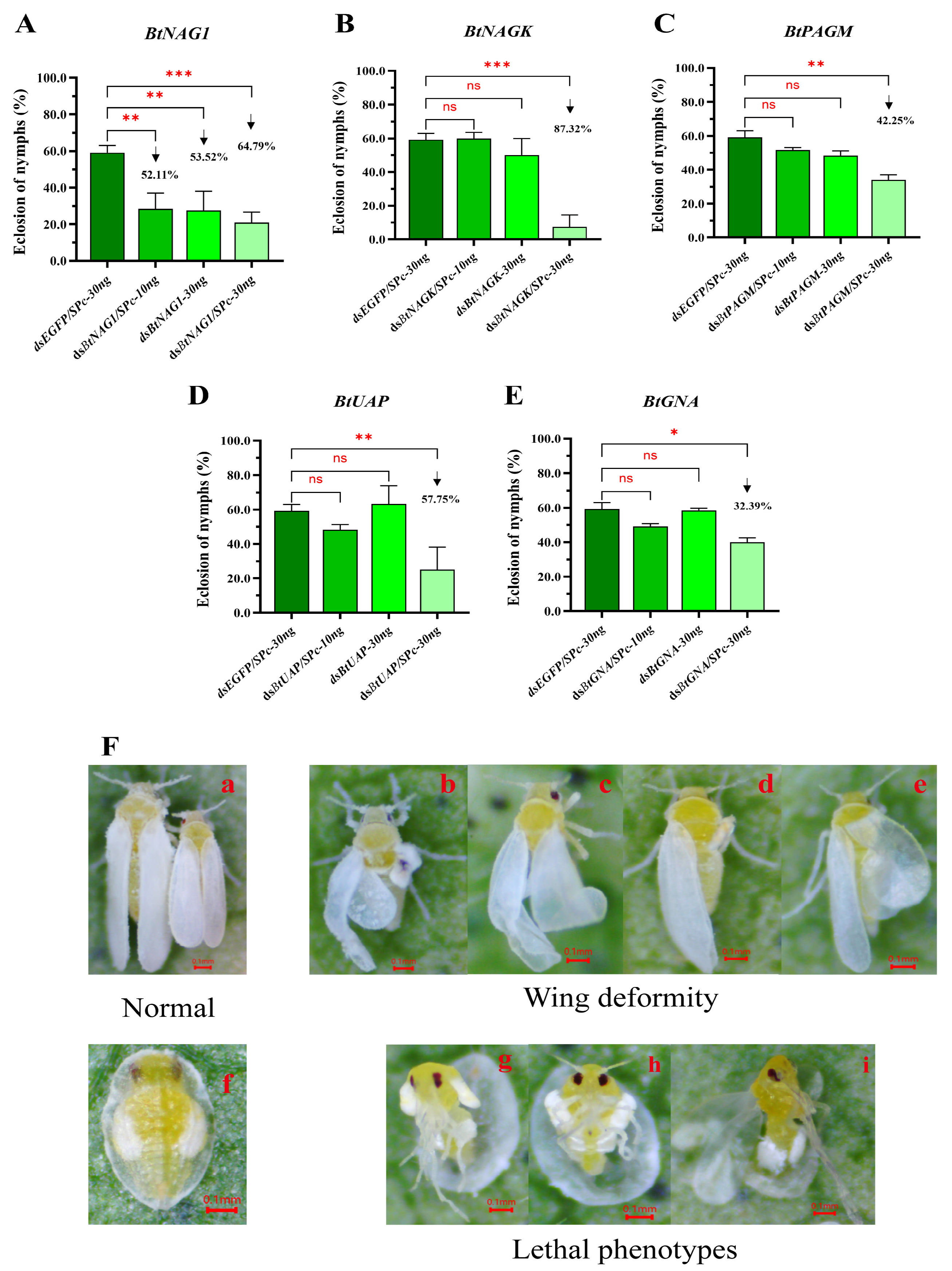 Insects 17 00002 g007