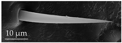 Insects 17 00006 i002 Insects 17 00006 i002