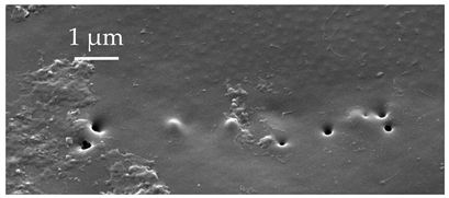 Insects 17 00006 i019 Insects 17 00006 i019