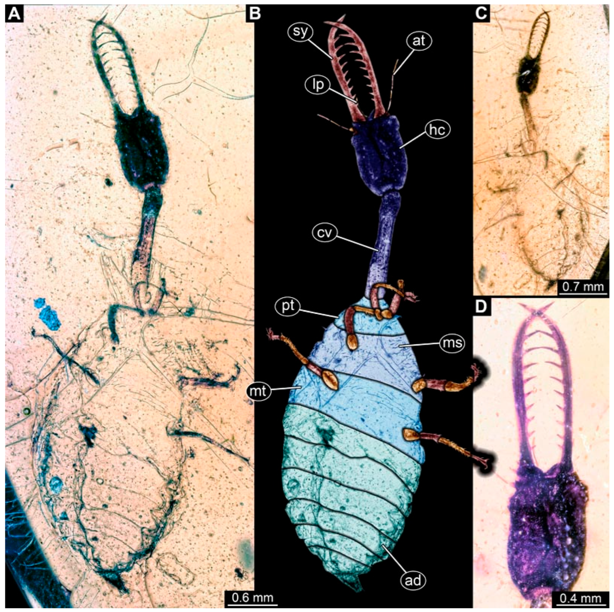Insects 17 00011 g007