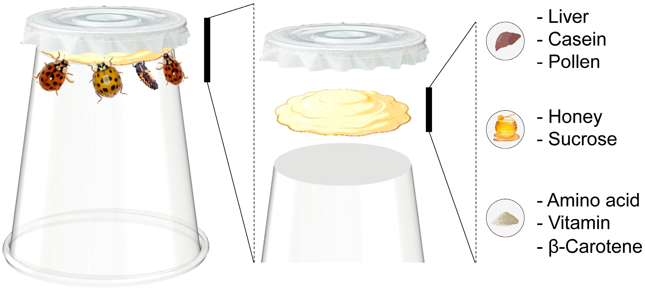 Insects 17 00016 g002