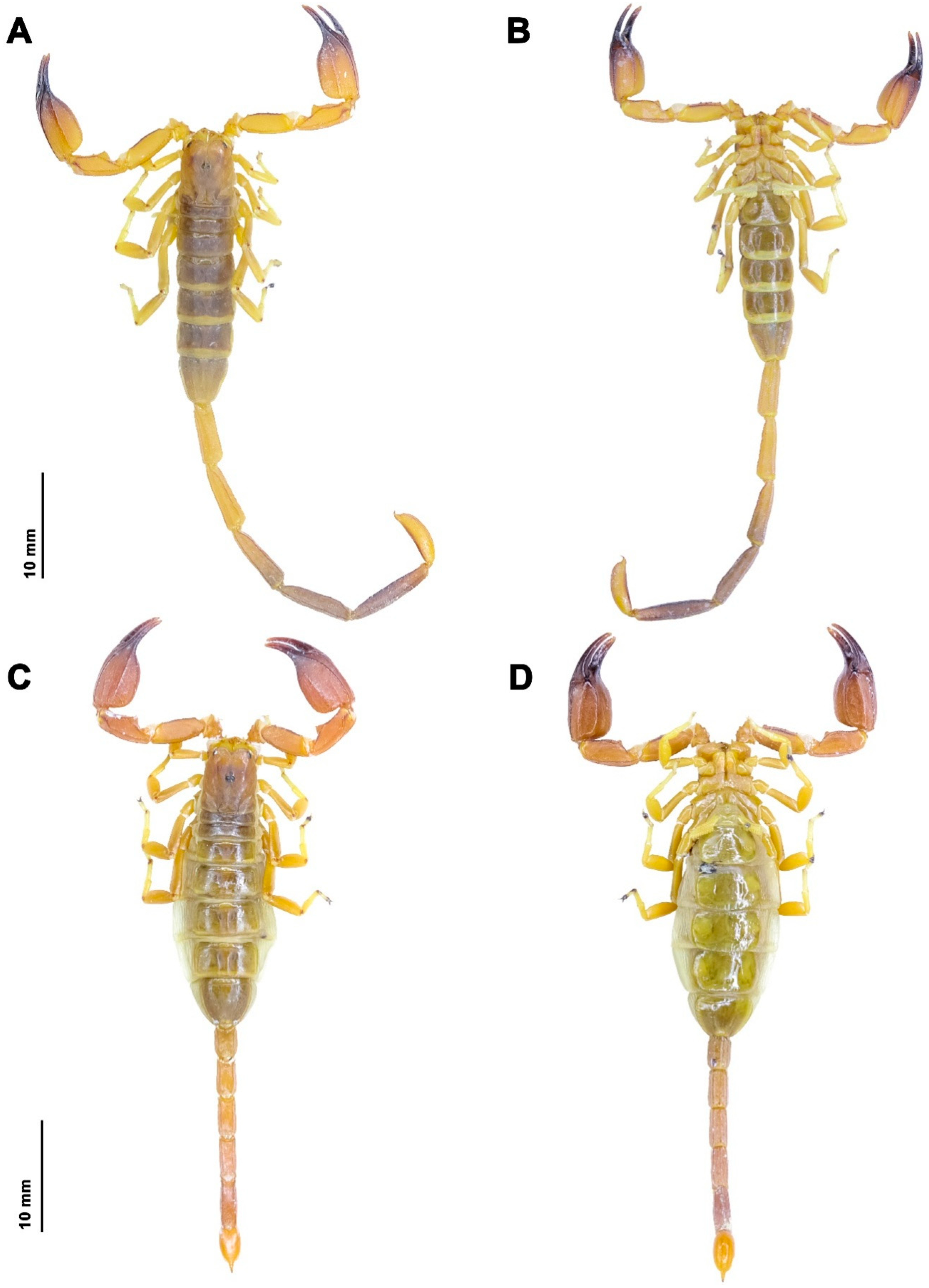 Insects 17 00018 g007