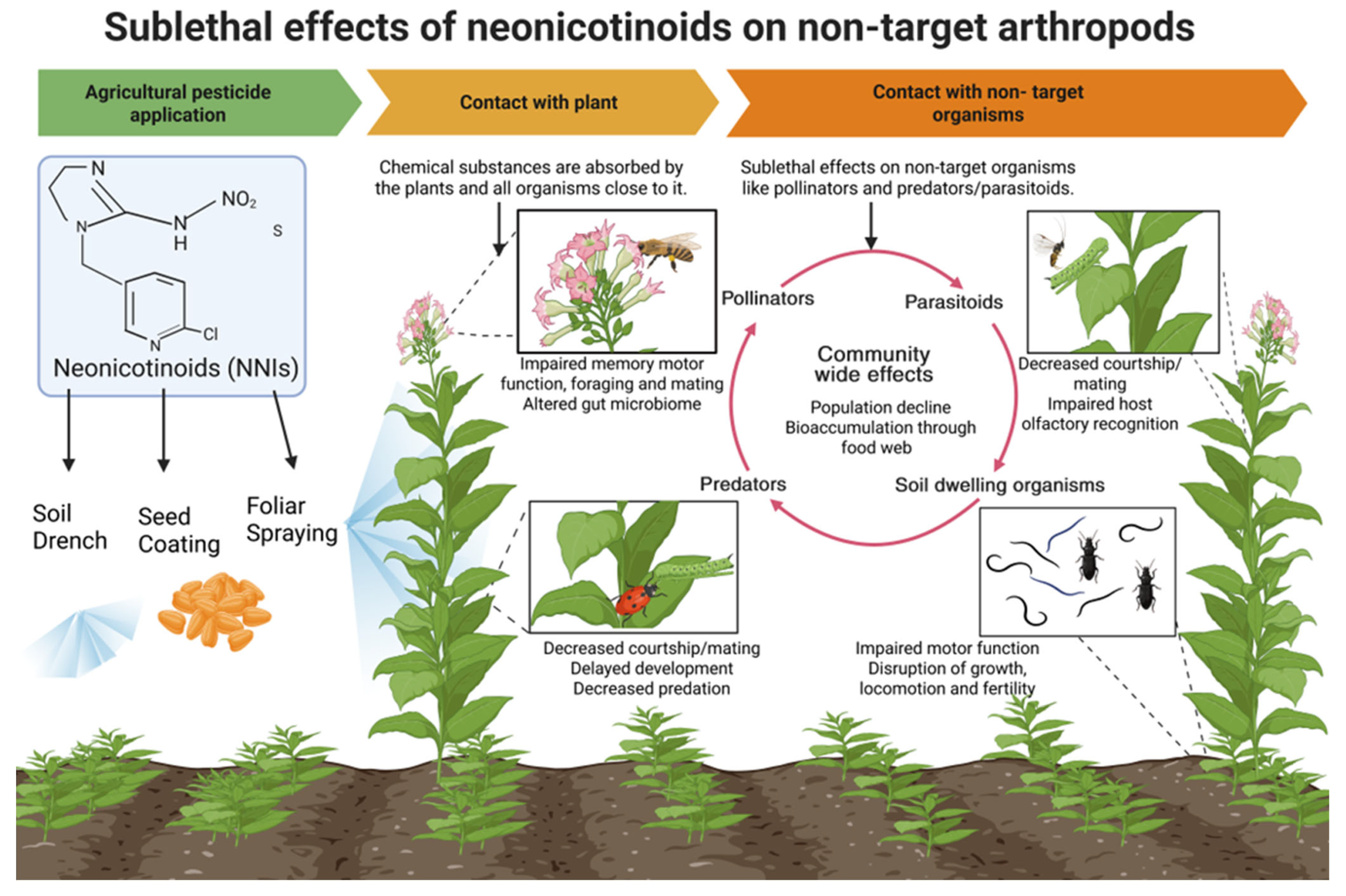 Insects 17 00026 g001