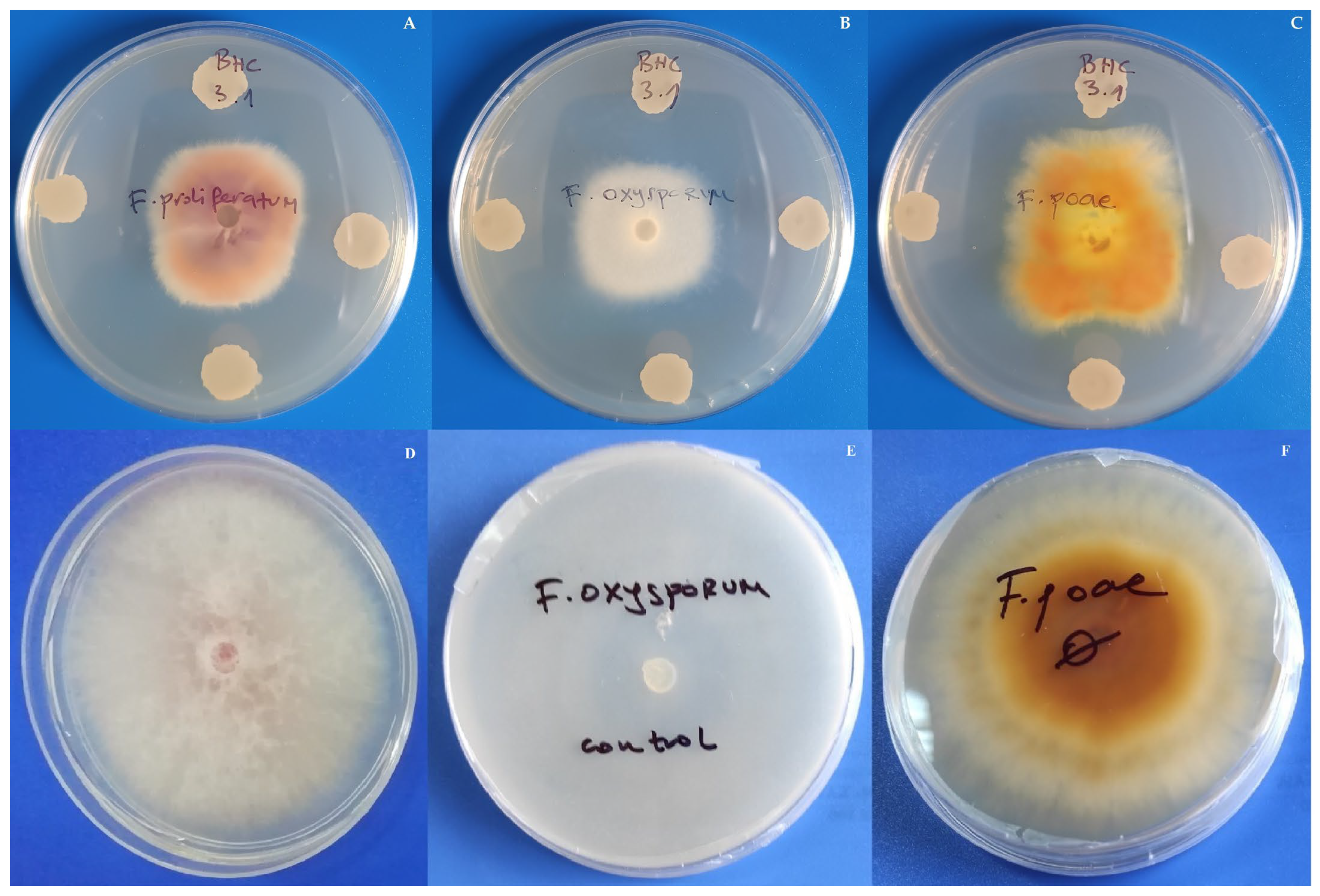 Insects 17 00028 g003