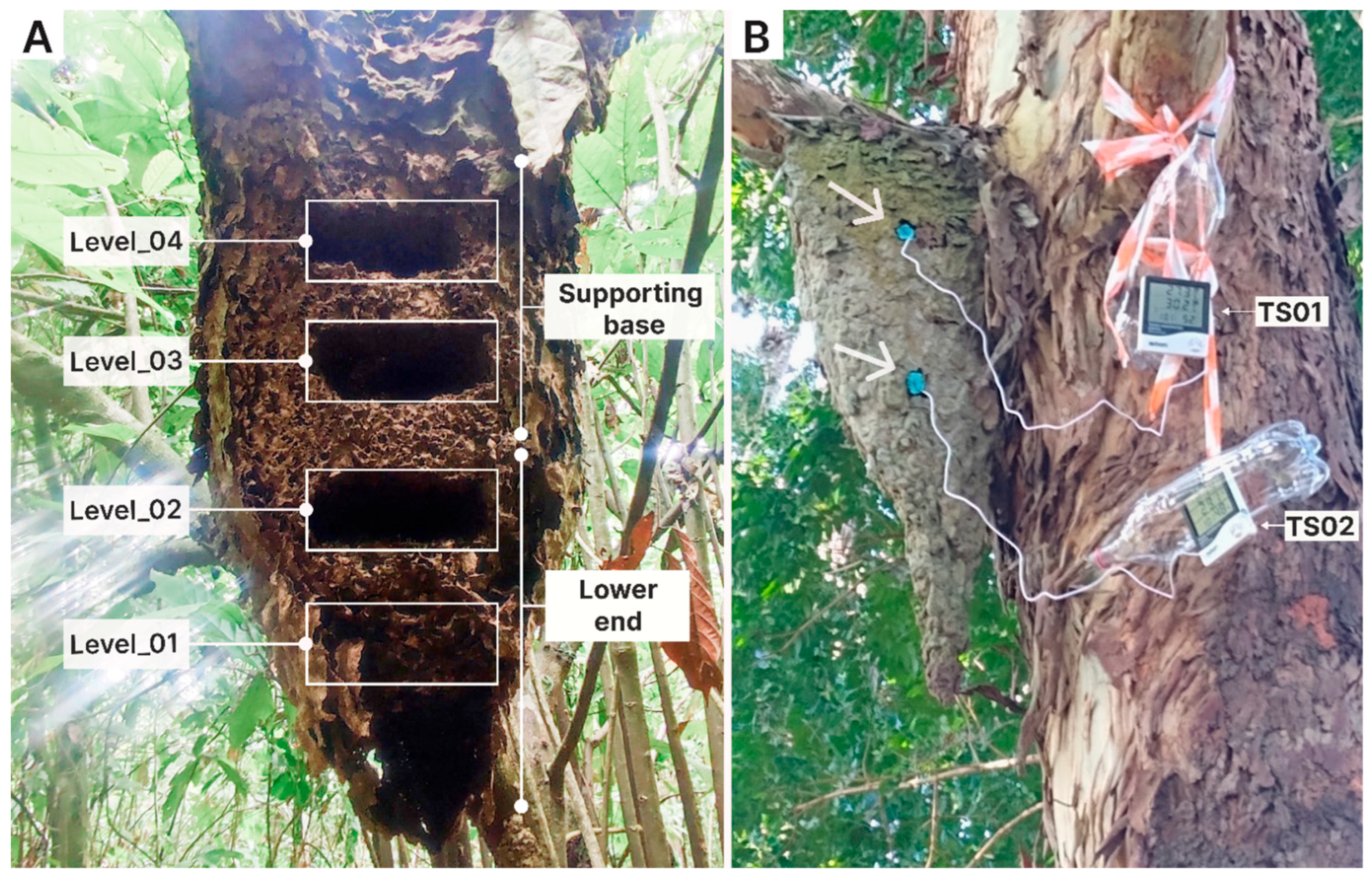 Insects 17 00032 g002