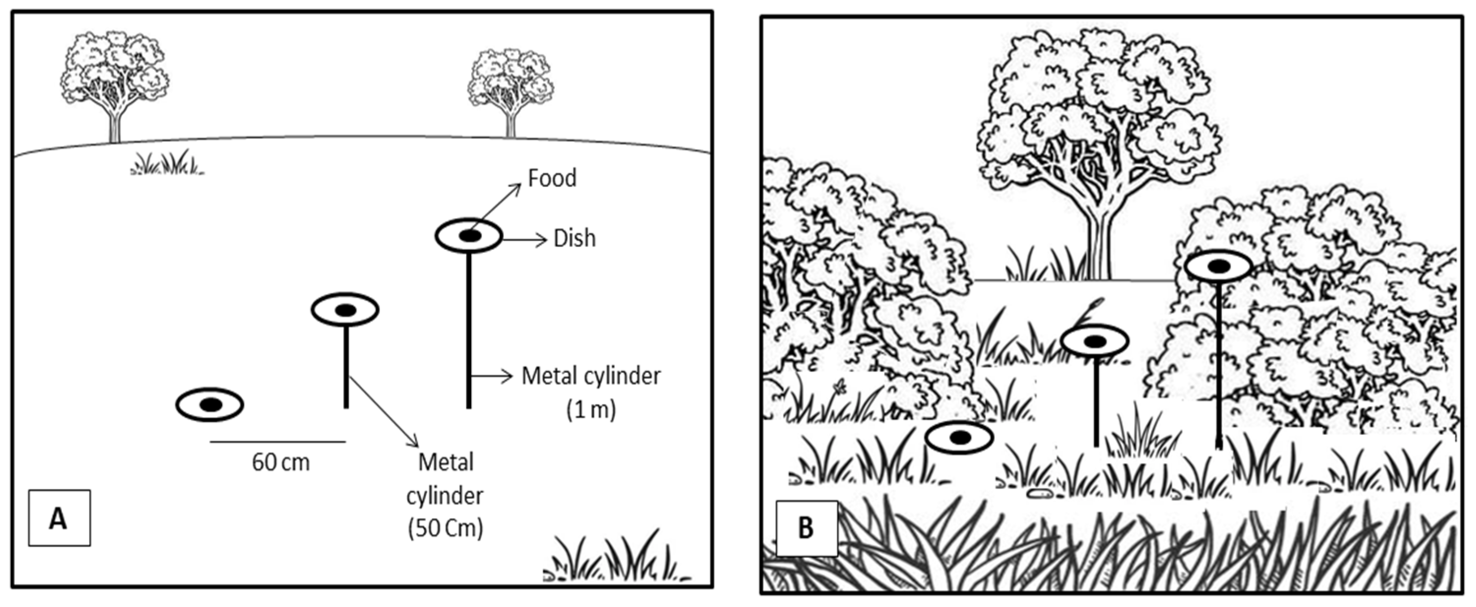 Insects 17 00038 g001
