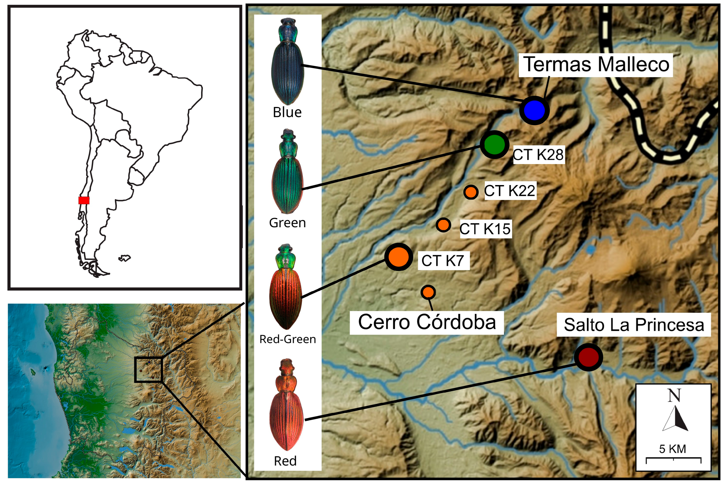 Insects 17 00044 g002 Insects 17 00044 g002