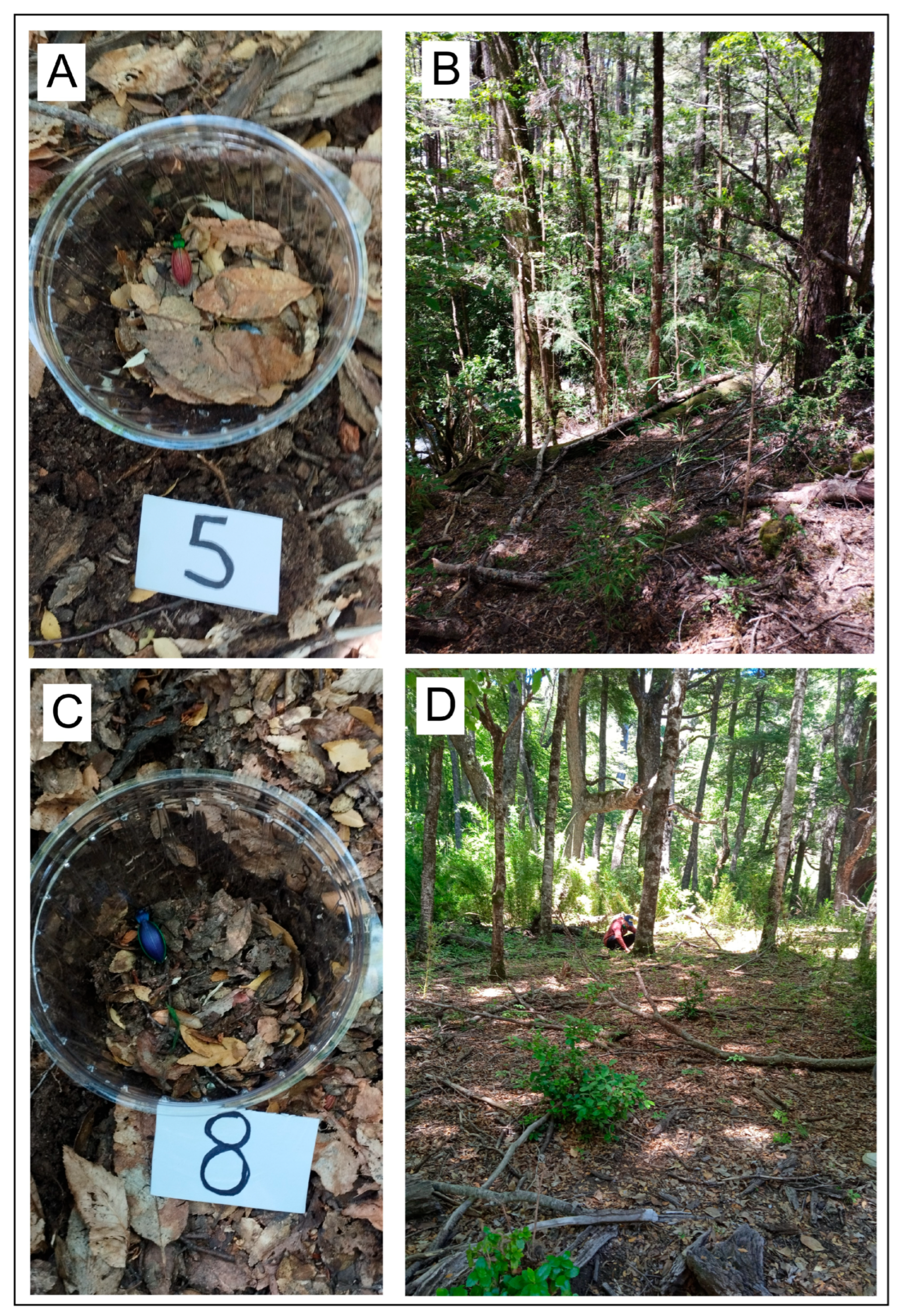 Insects 17 00044 g003 Insects 17 00044 g003