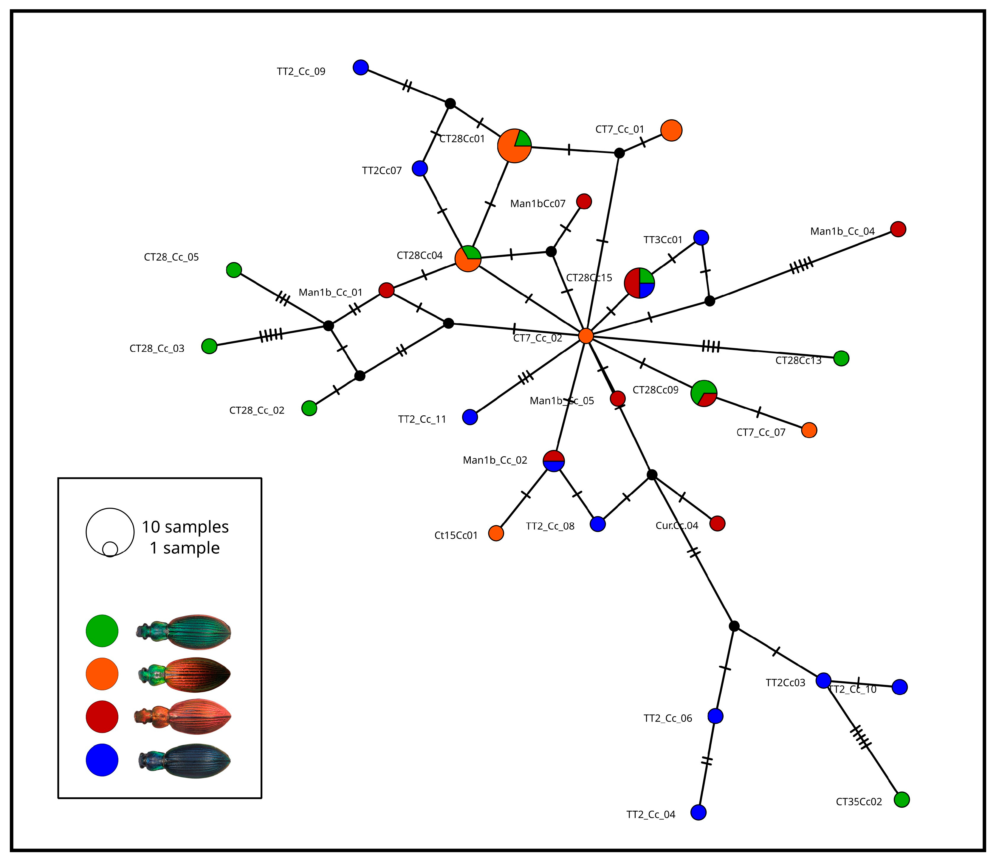 Insects 17 00044 g004 Insects 17 00044 g004