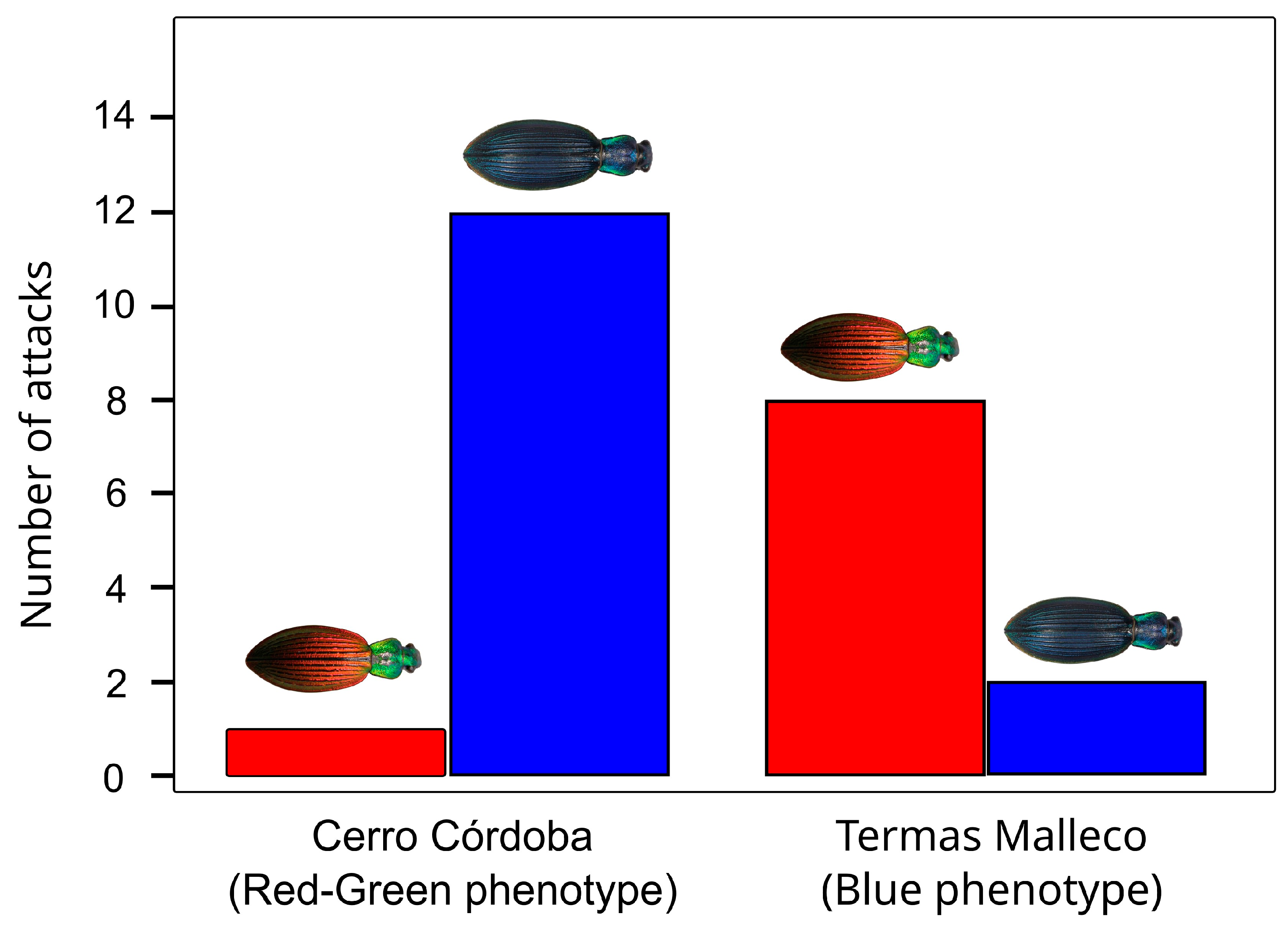 Insects 17 00044 g006 Insects 17 00044 g006