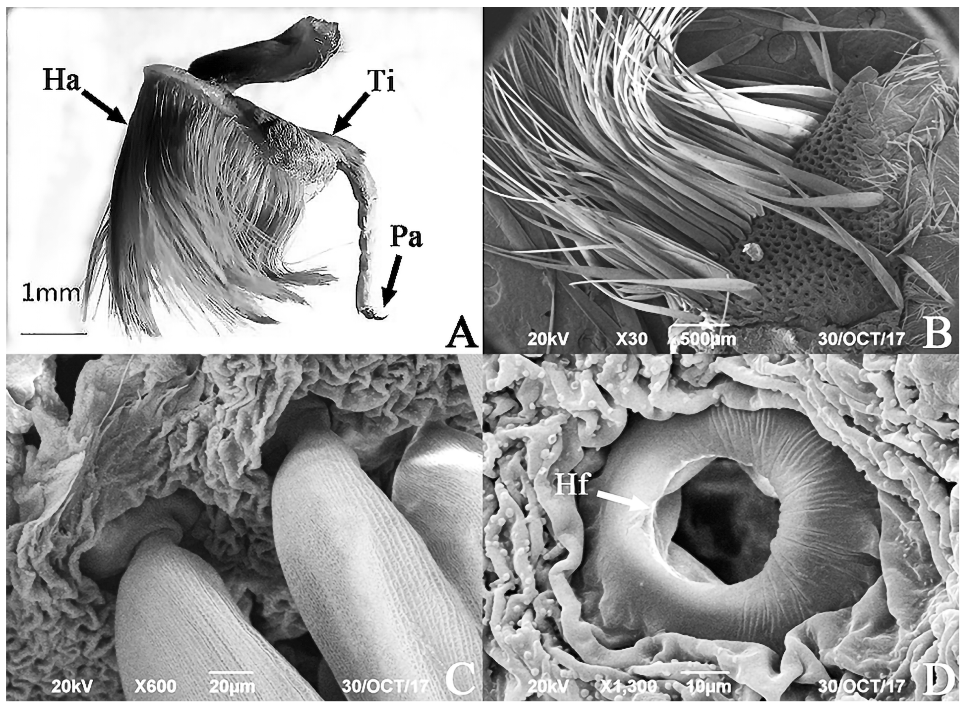 Insects 17 00045 g002
