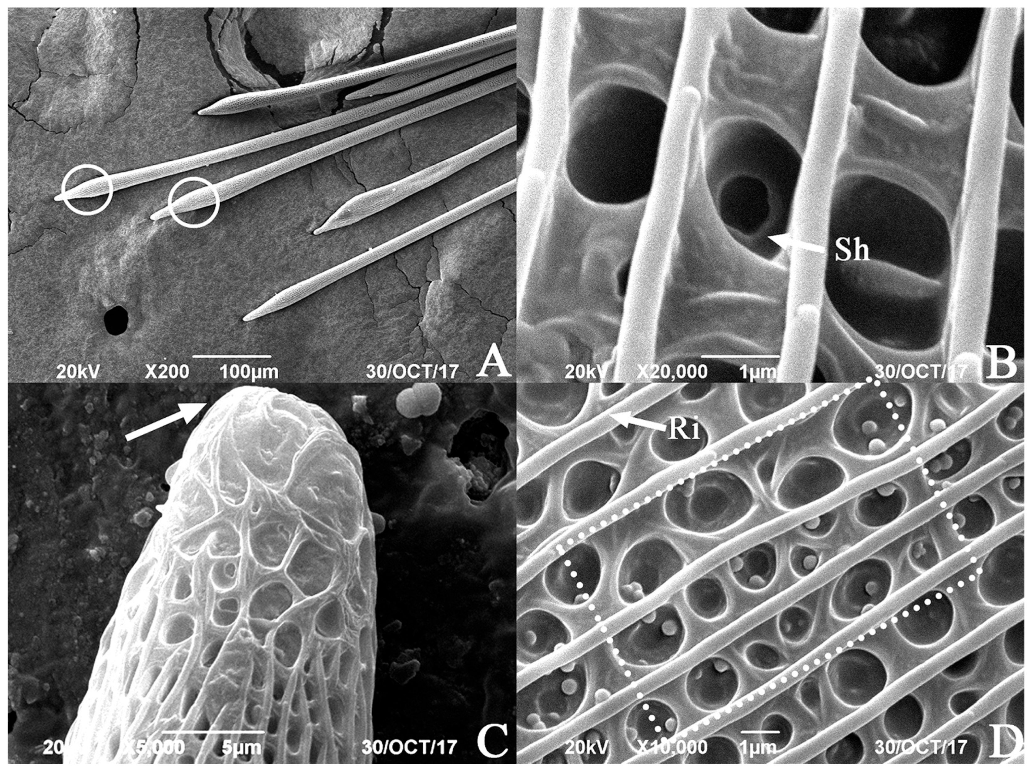 Insects 17 00045 g003