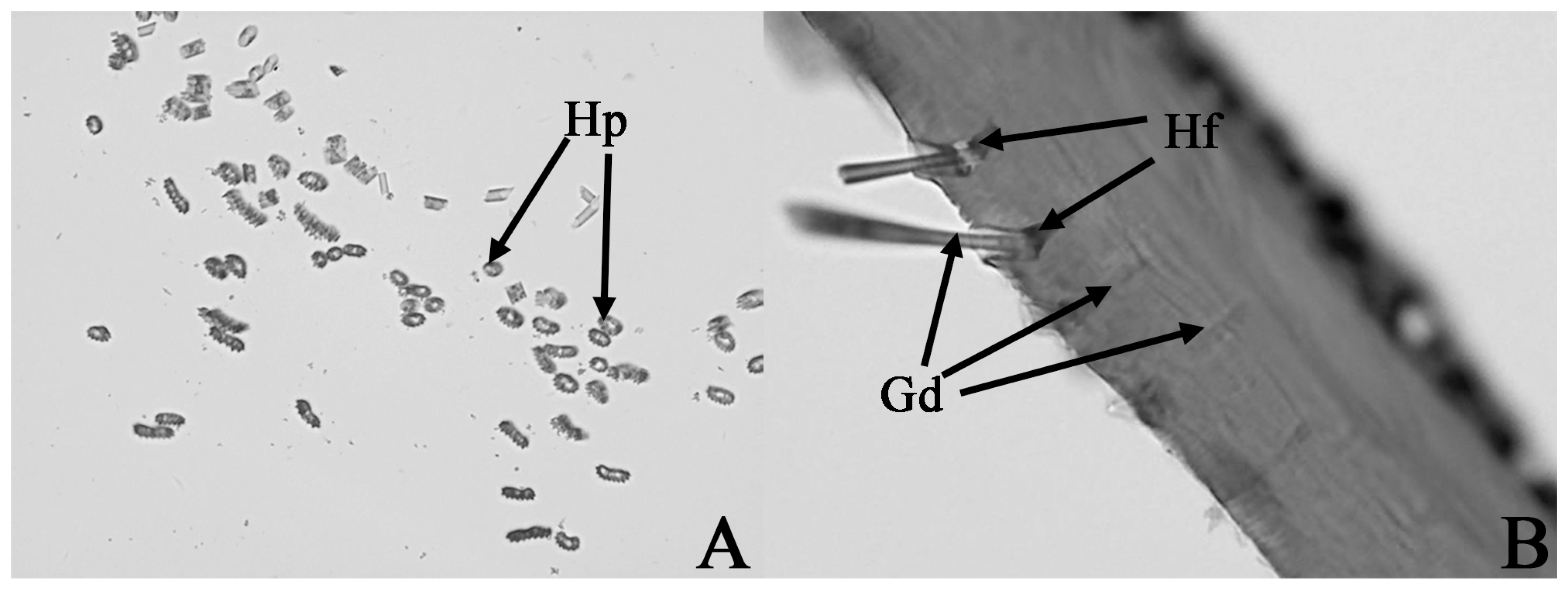 Insects 17 00045 g004