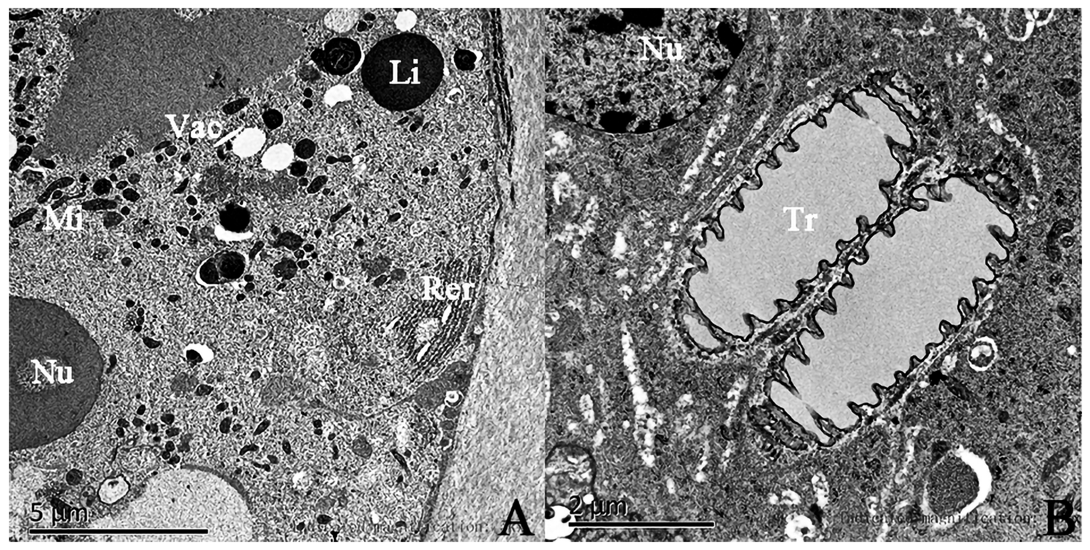 Insects 17 00045 g006