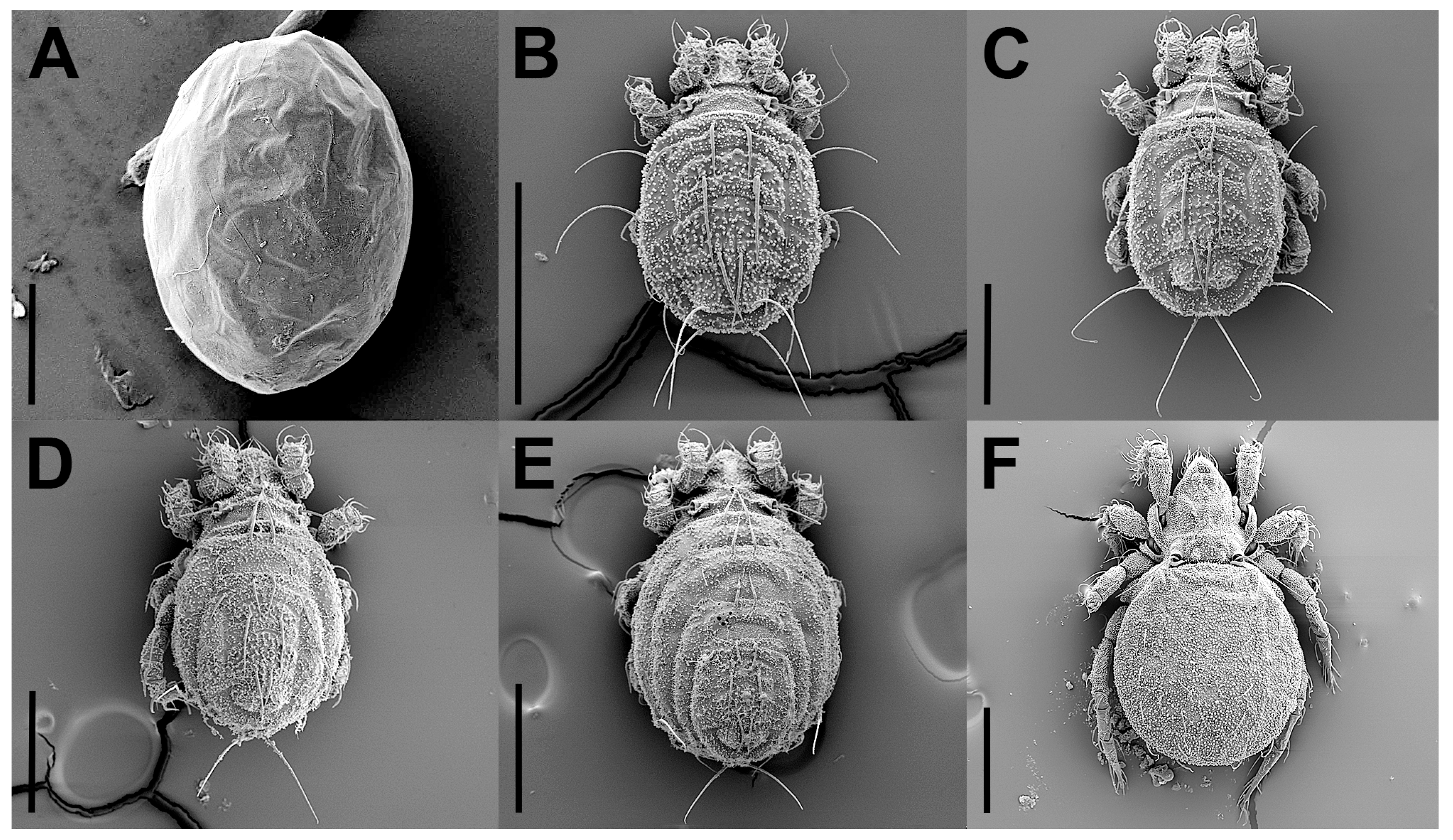 Insects 17 00047 g002