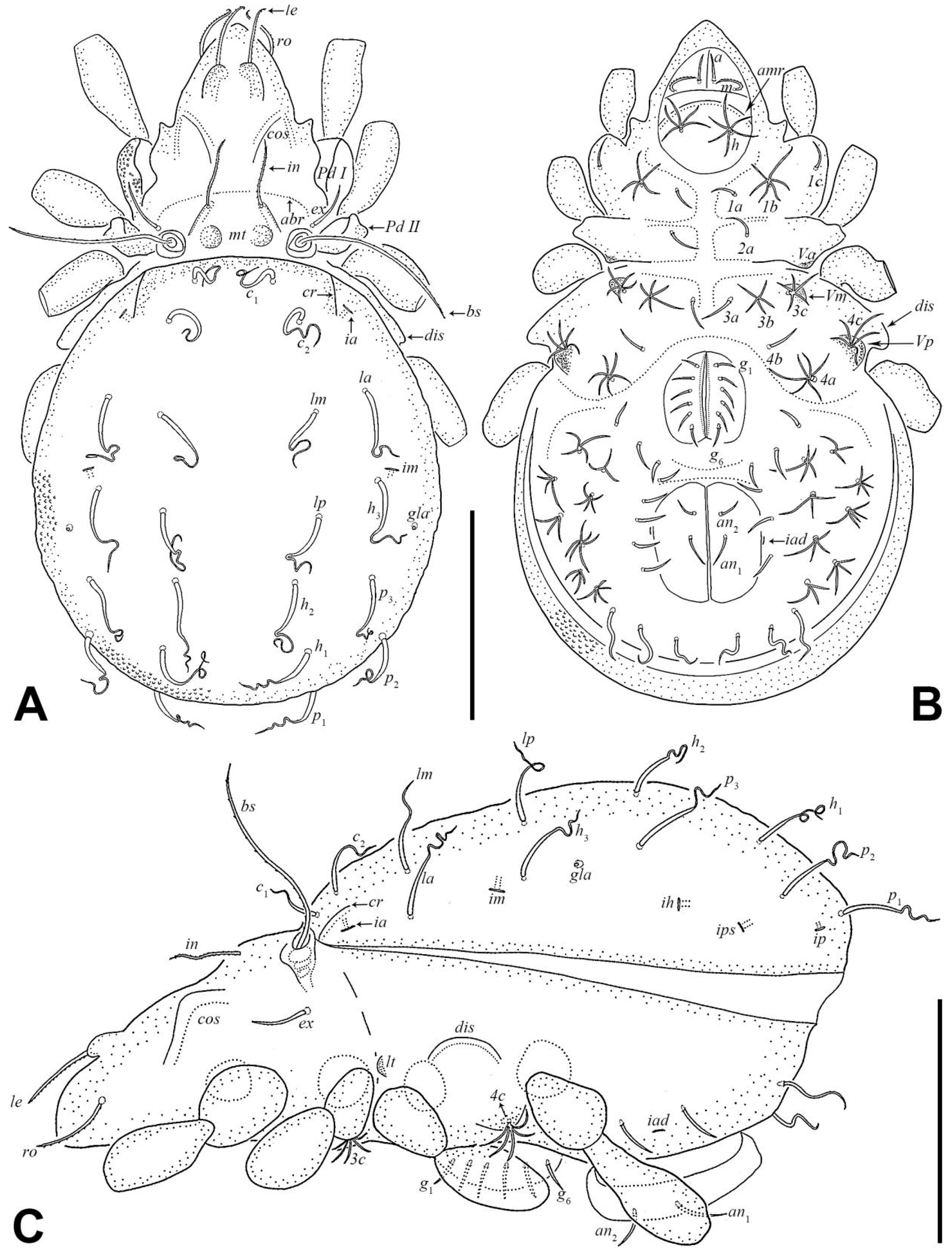 Insects 17 00047 g003
