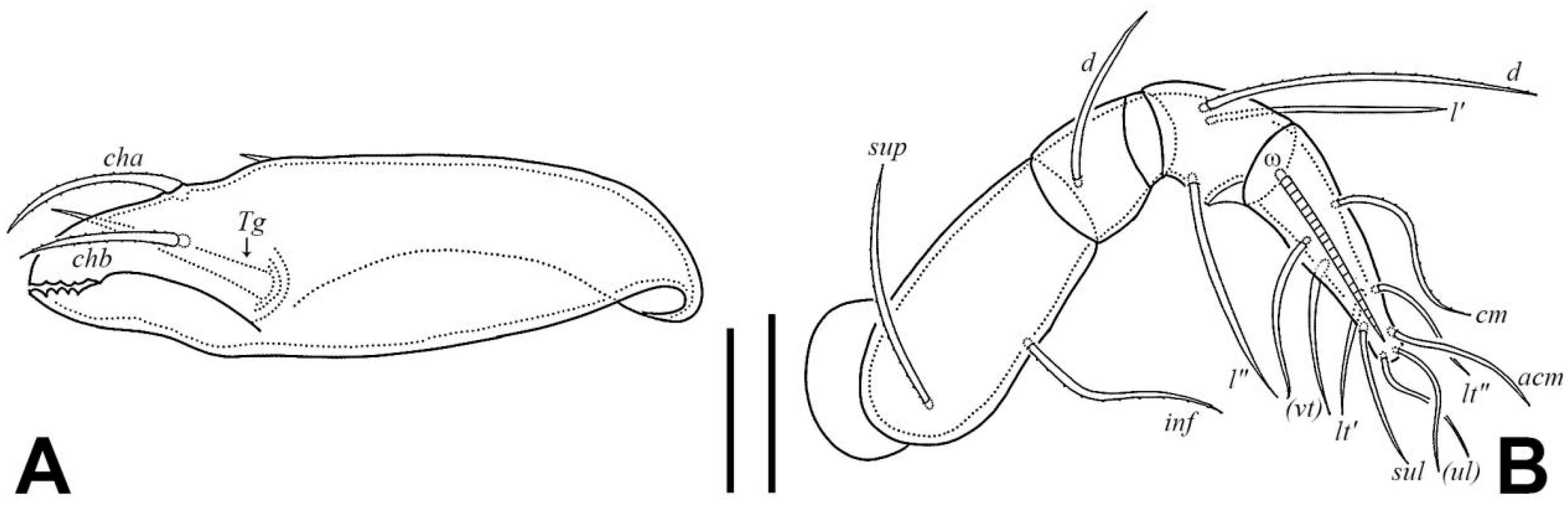 Insects 17 00047 g004