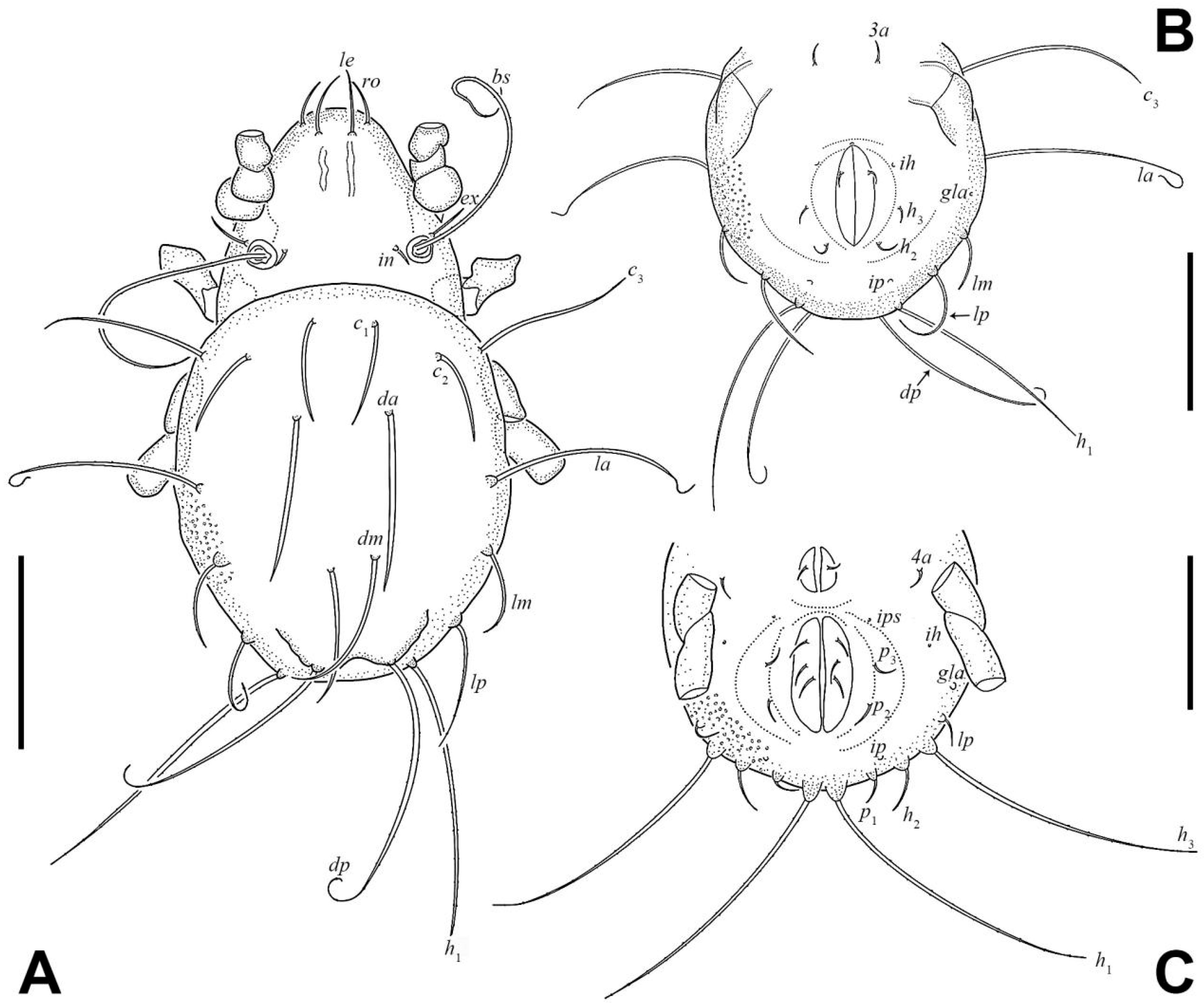 Insects 17 00047 g006