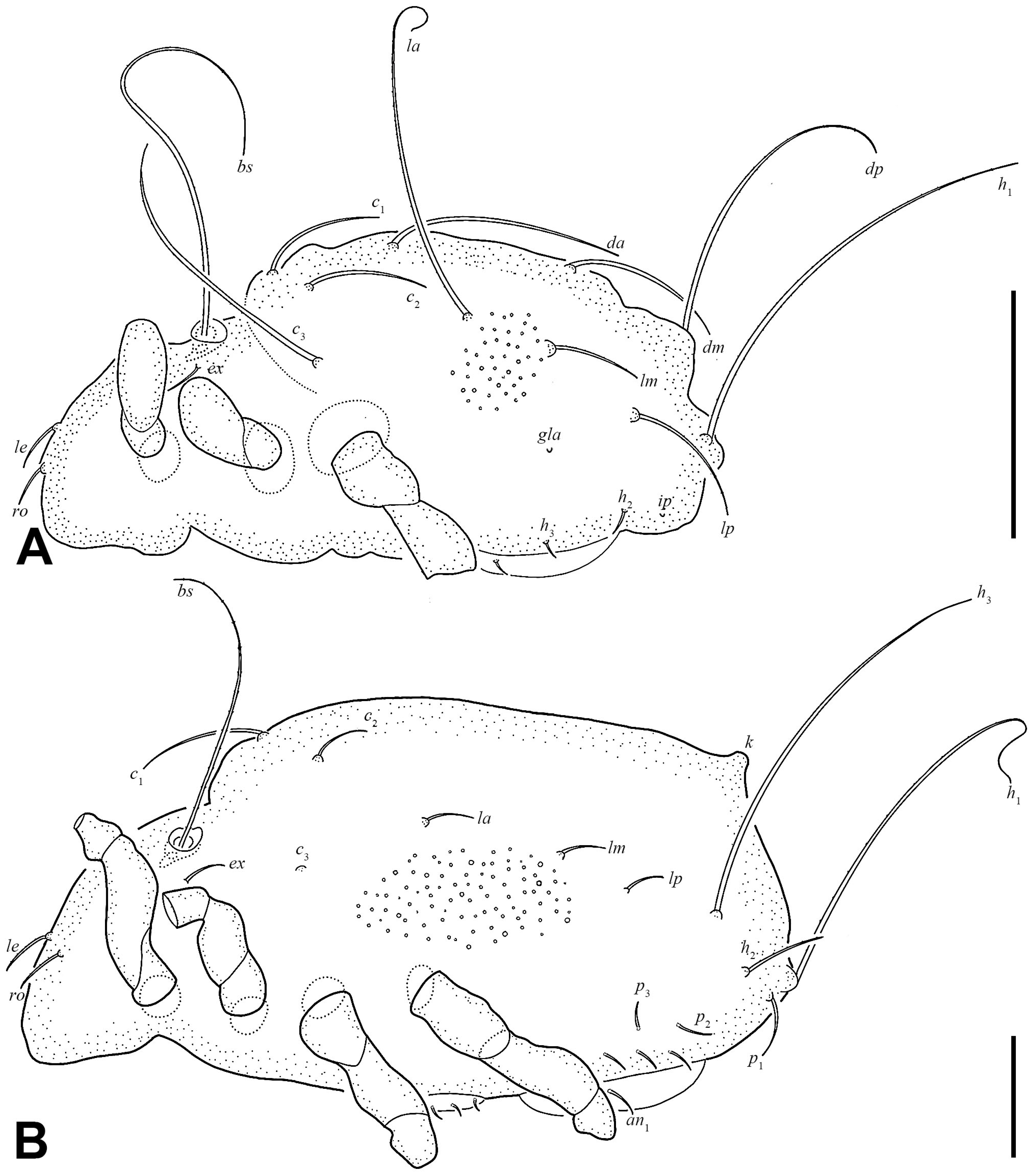 Insects 17 00047 g007
