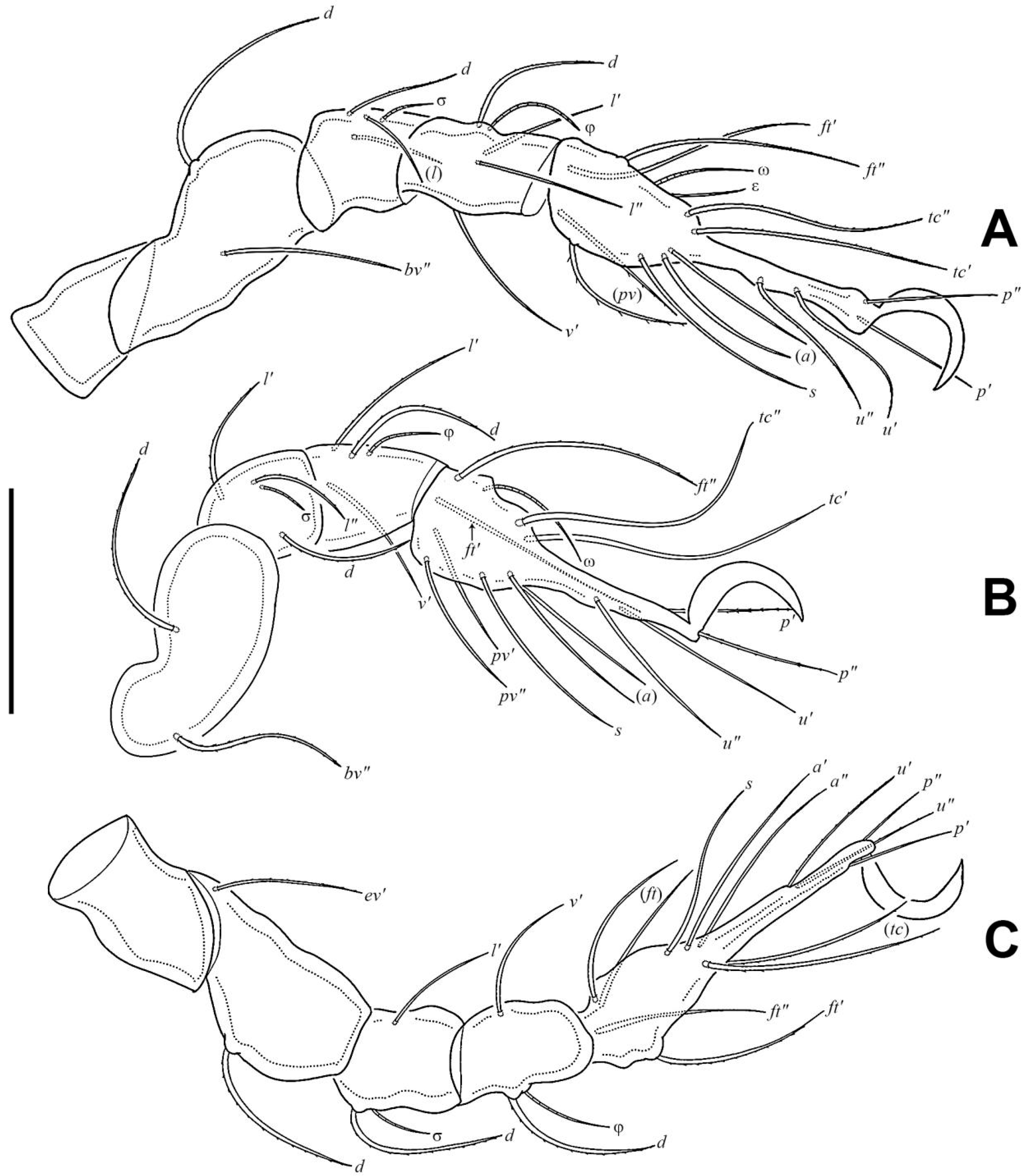Insects 17 00047 g008