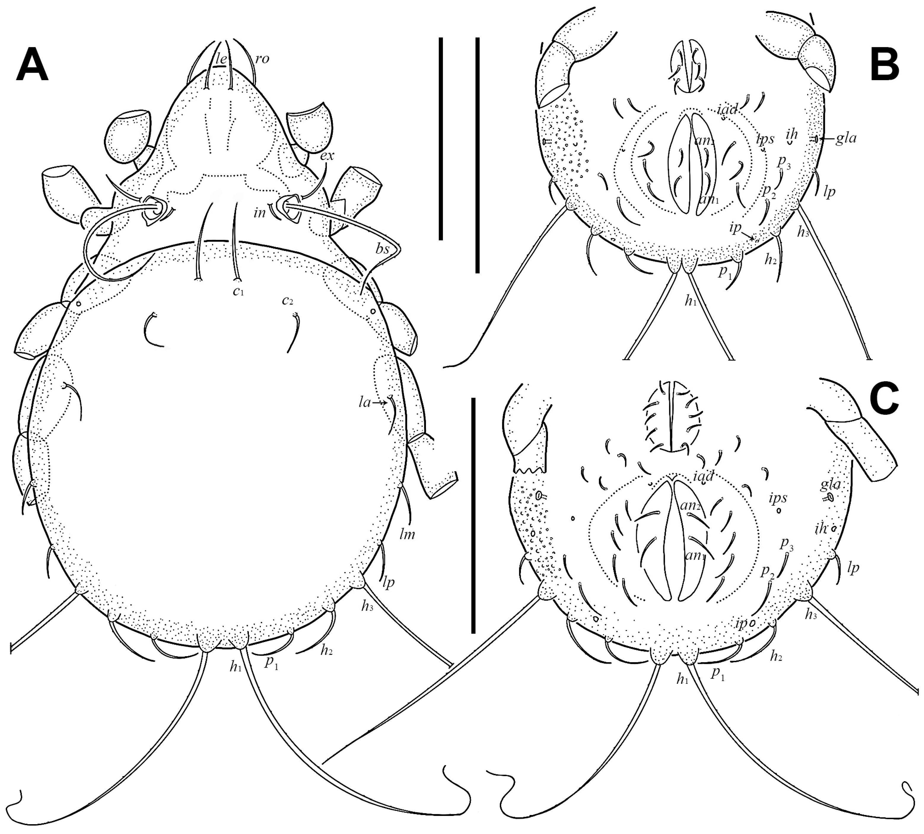 Insects 17 00047 g009