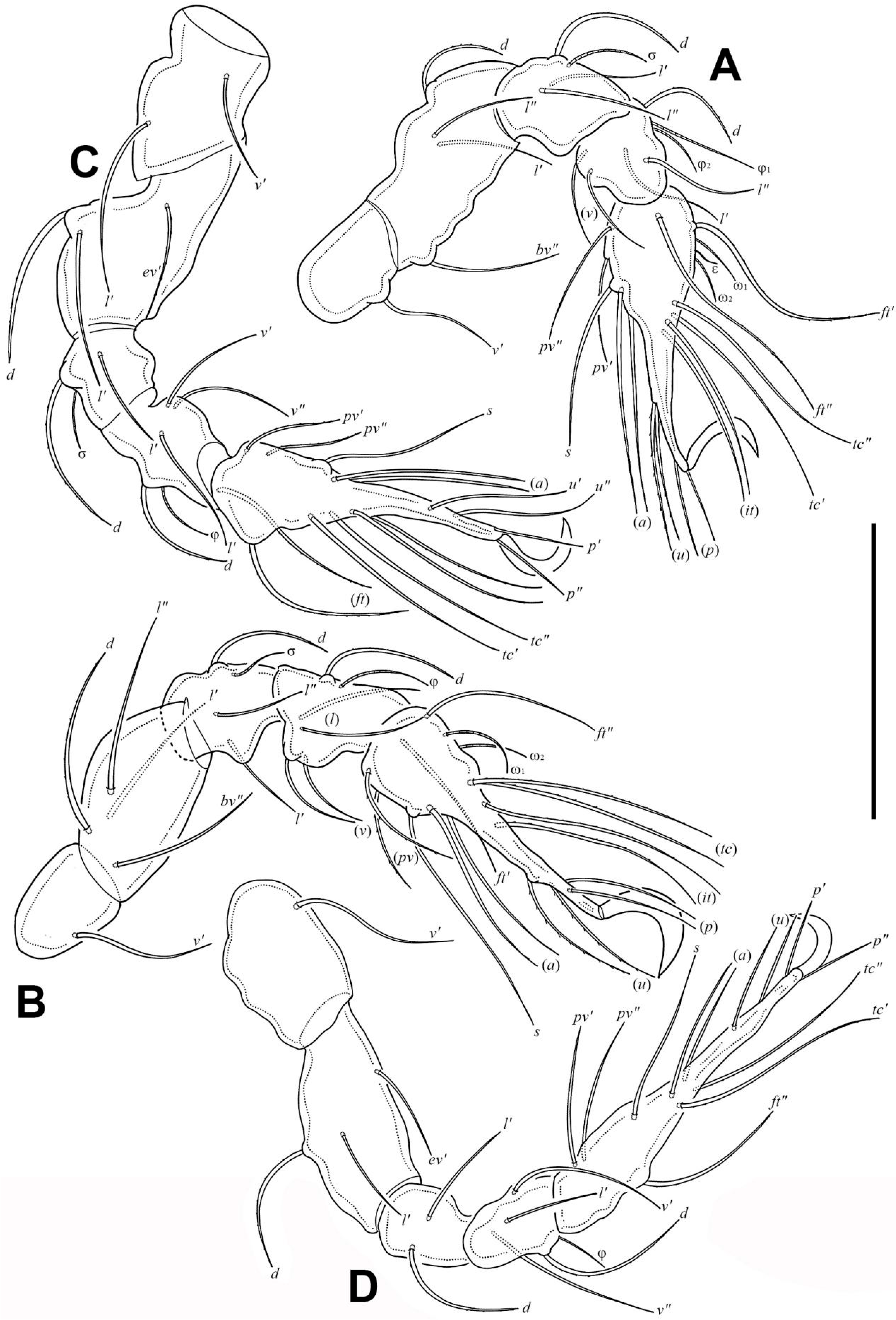 Insects 17 00047 g010