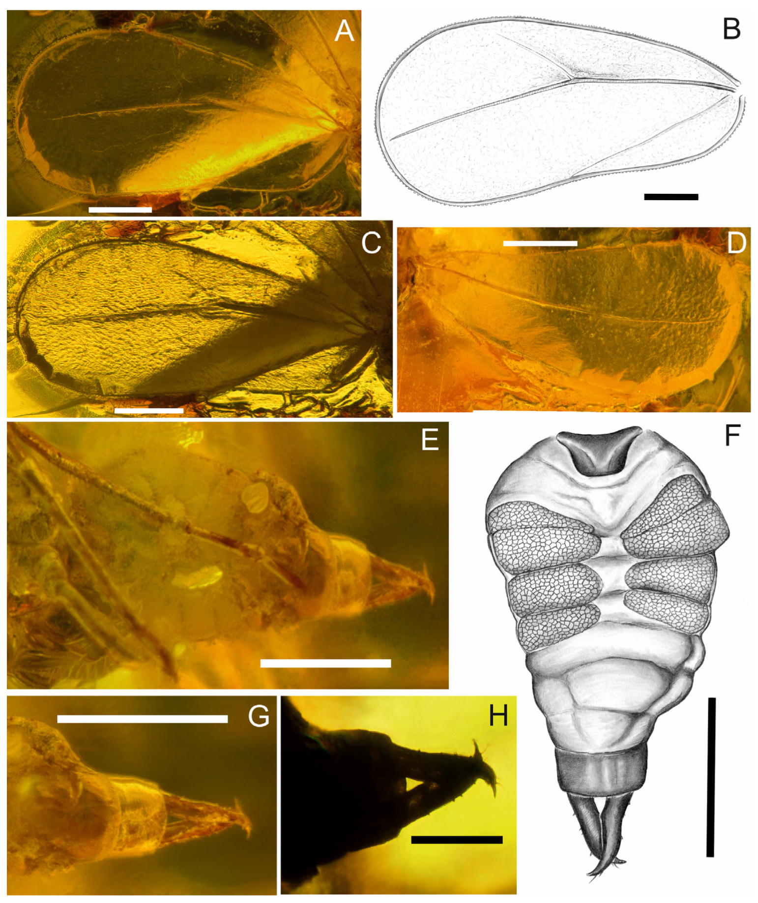Insects 17 00050 g003