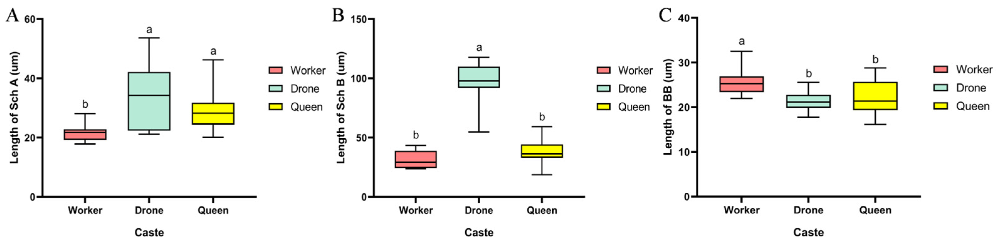 Insects 17 00055 g005