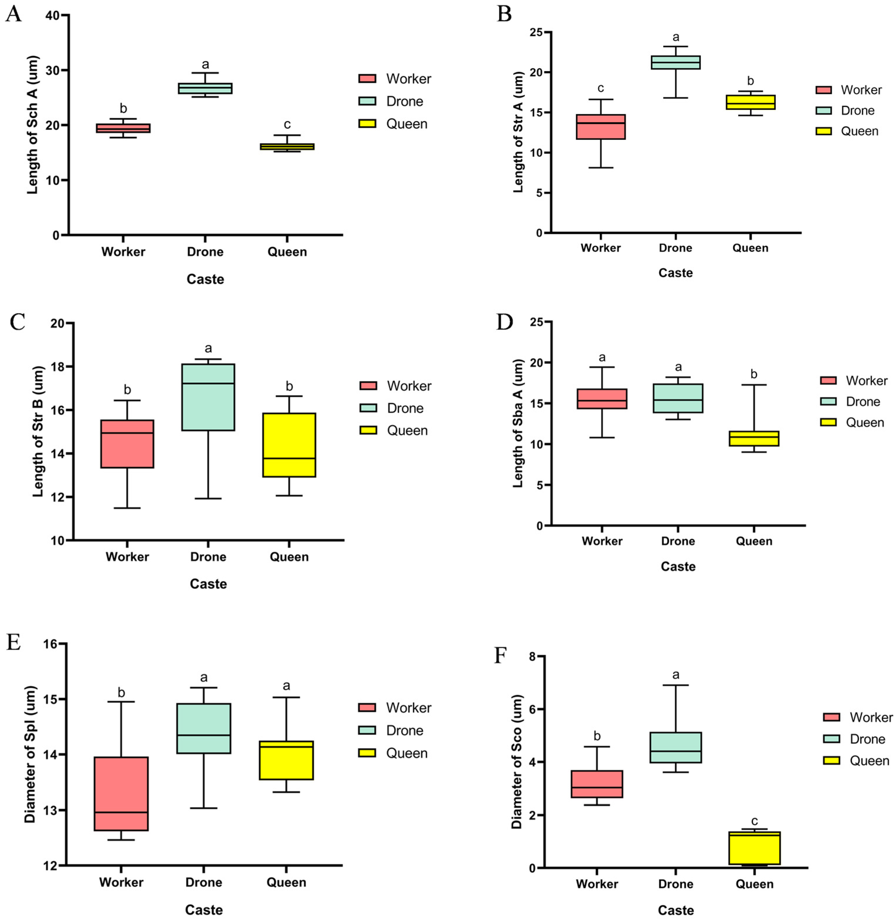 Insects 17 00055 g006