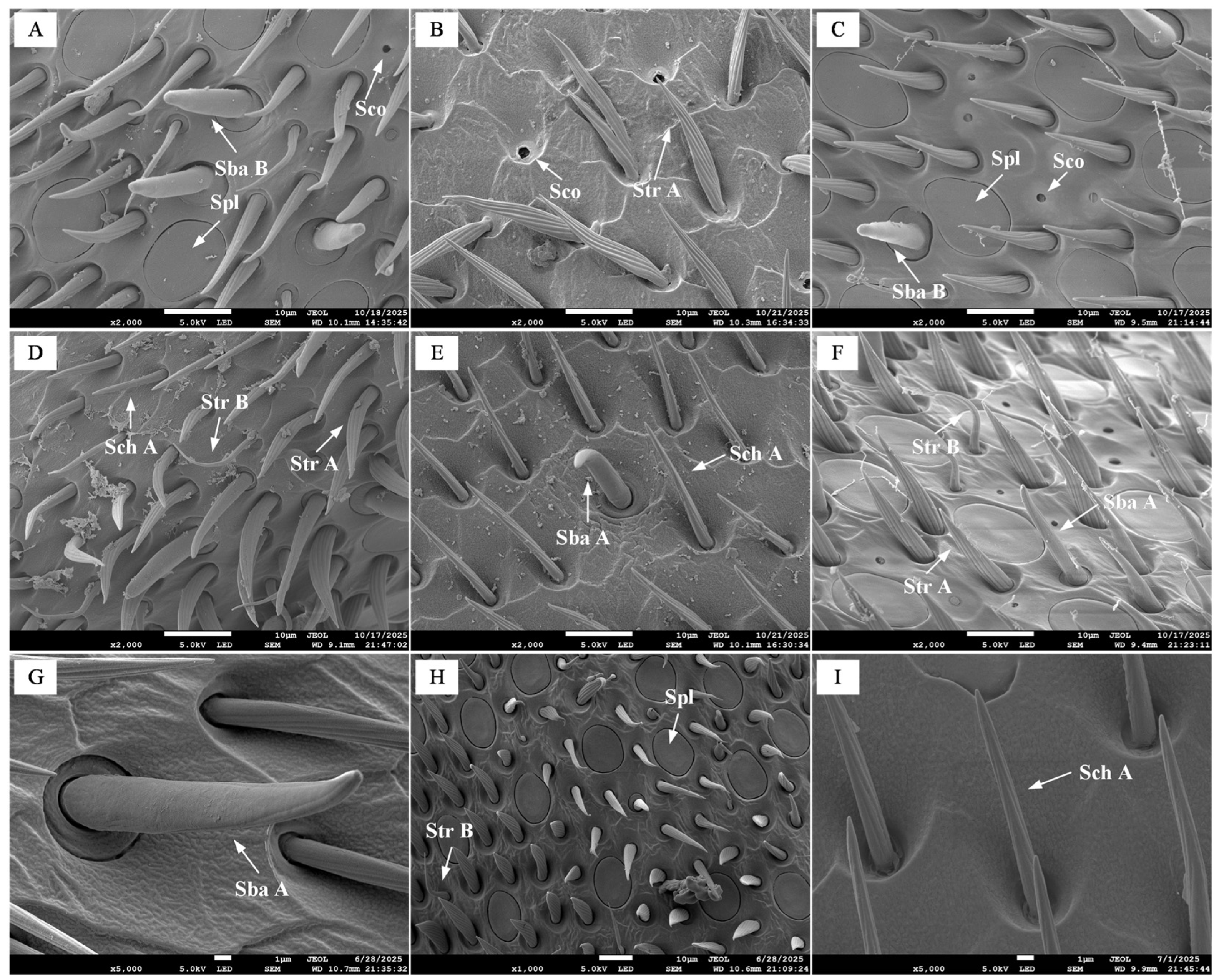 Insects 17 00055 g007