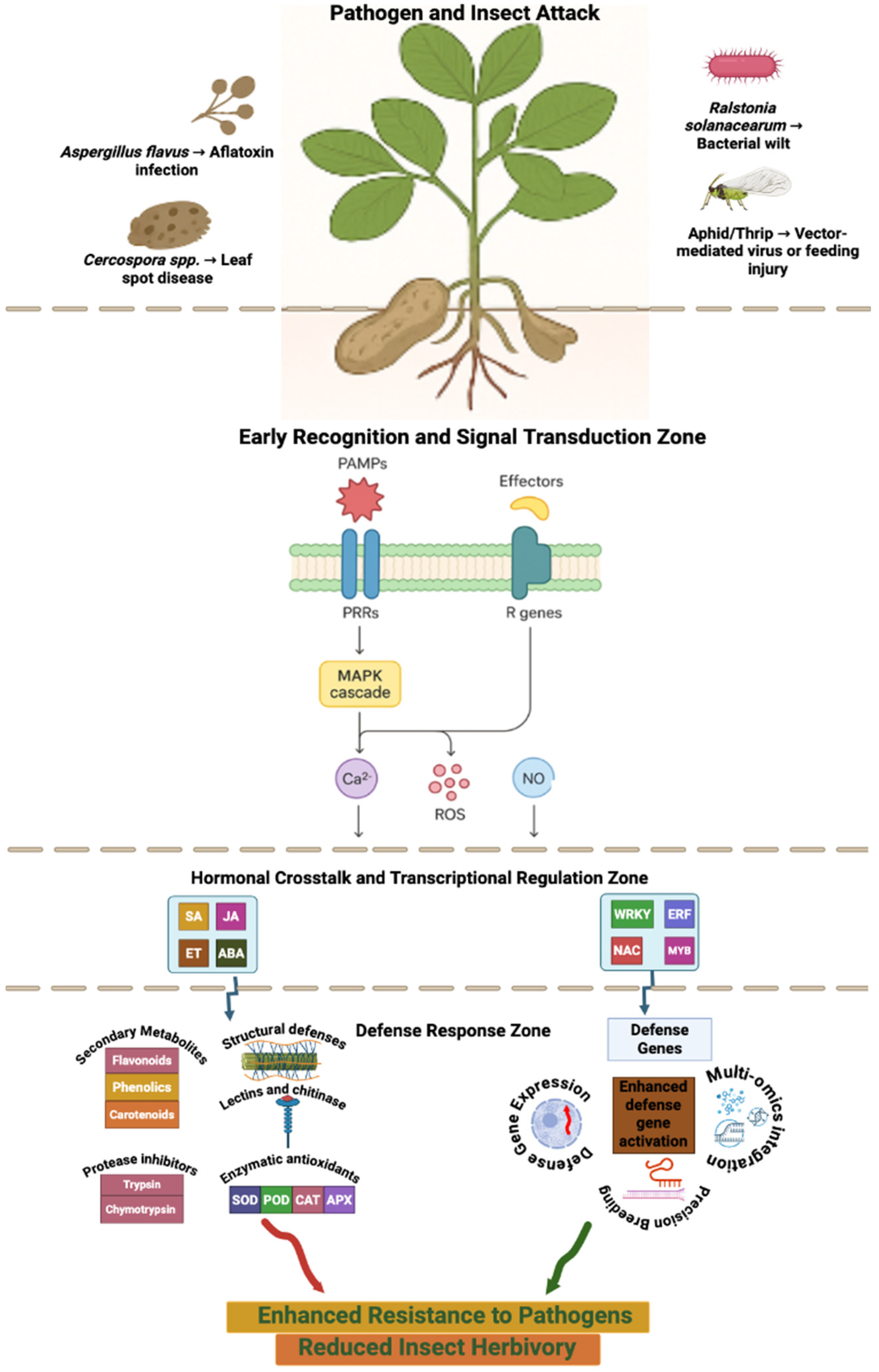 Insects 17 00063 g001 Insects 17 00063 g001