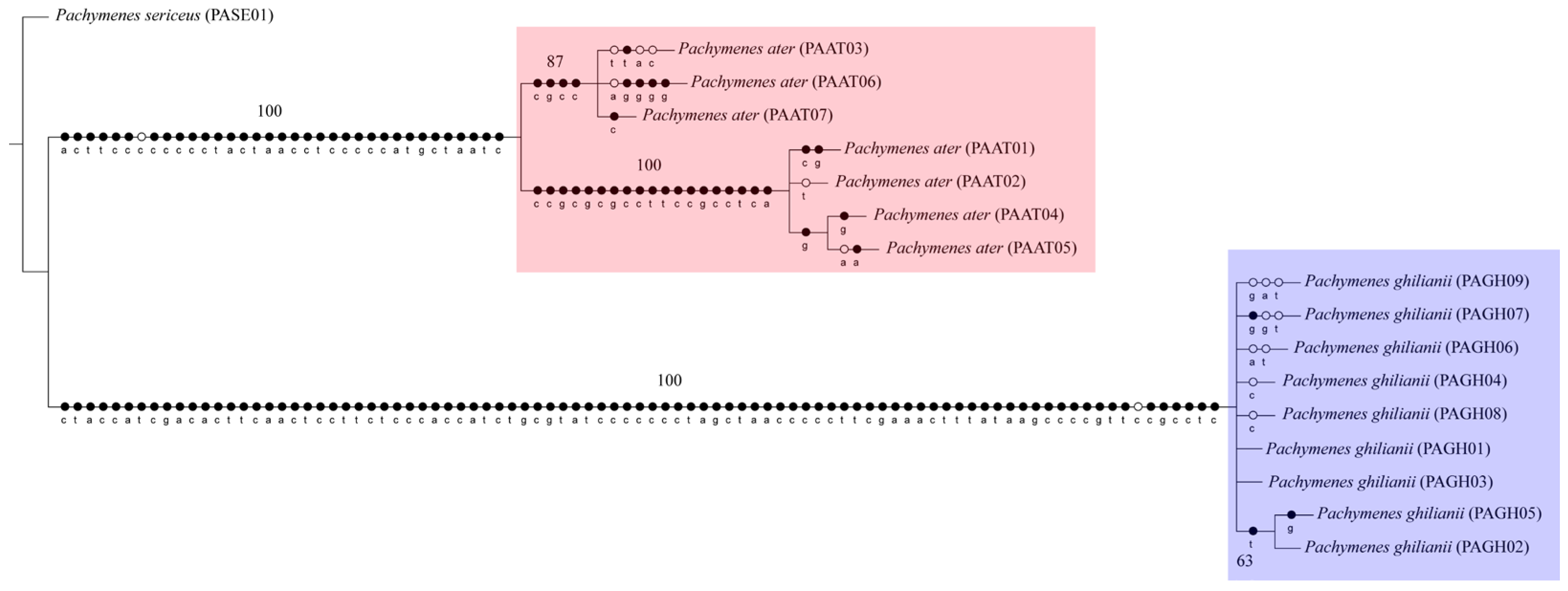 Insects 17 00078 g001