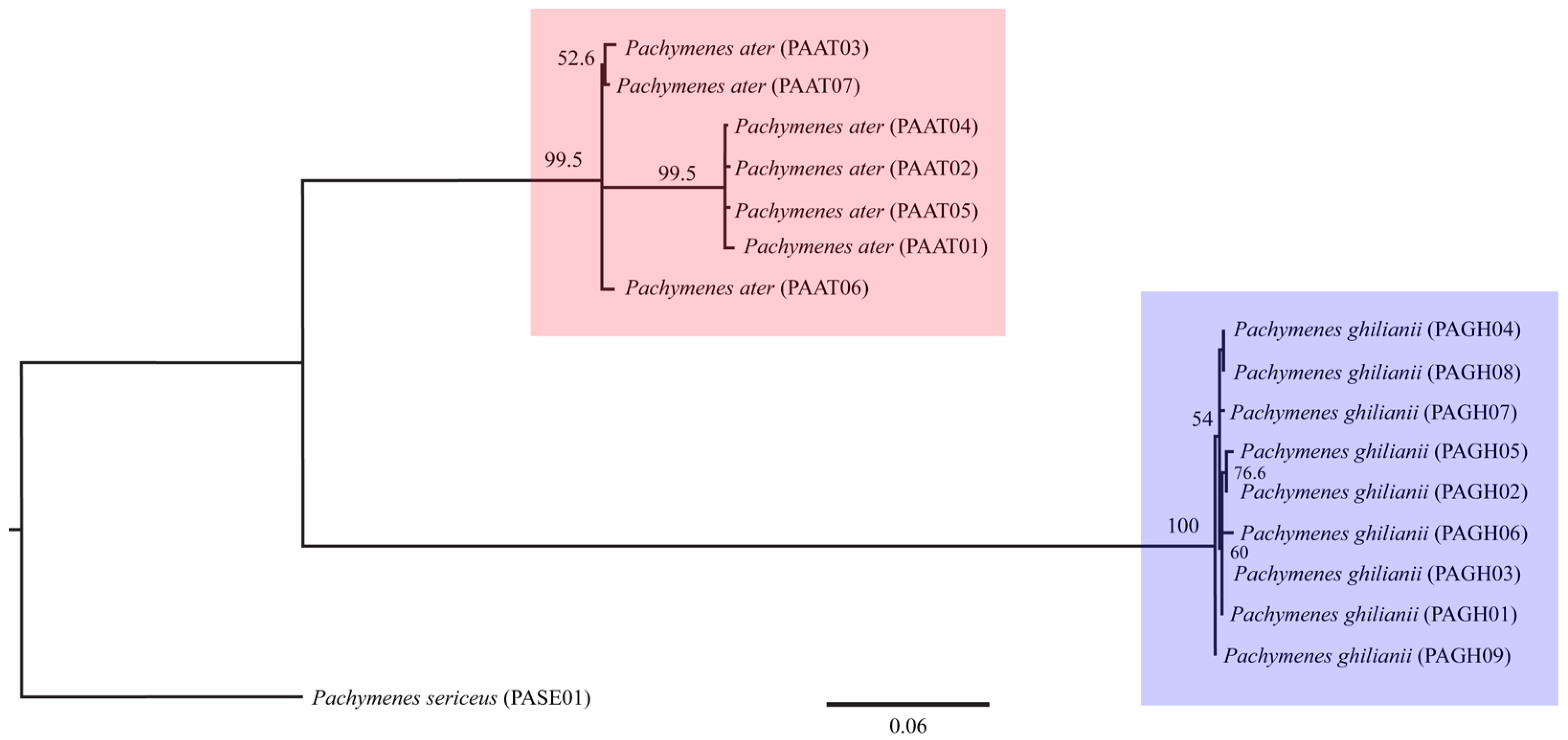 Insects 17 00078 g002