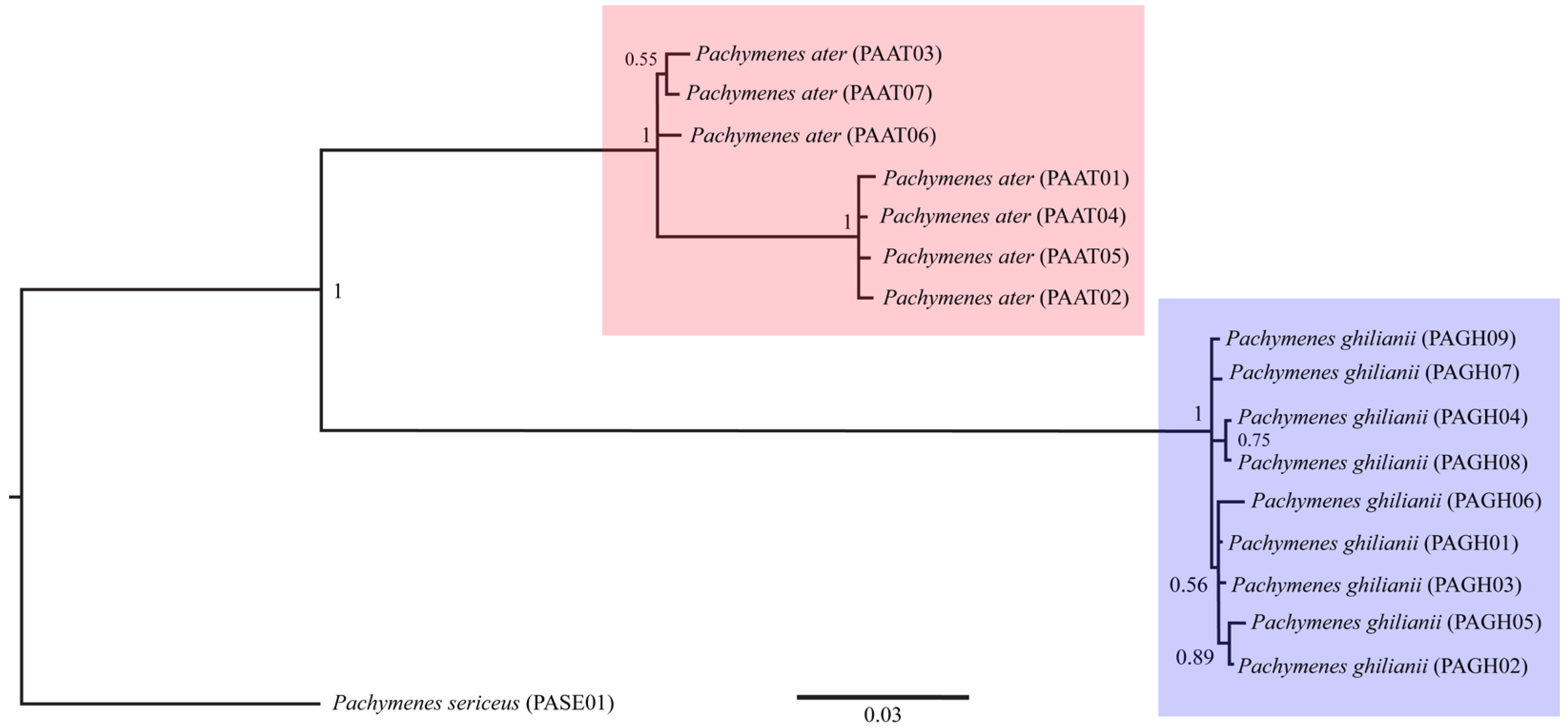 Insects 17 00078 g003