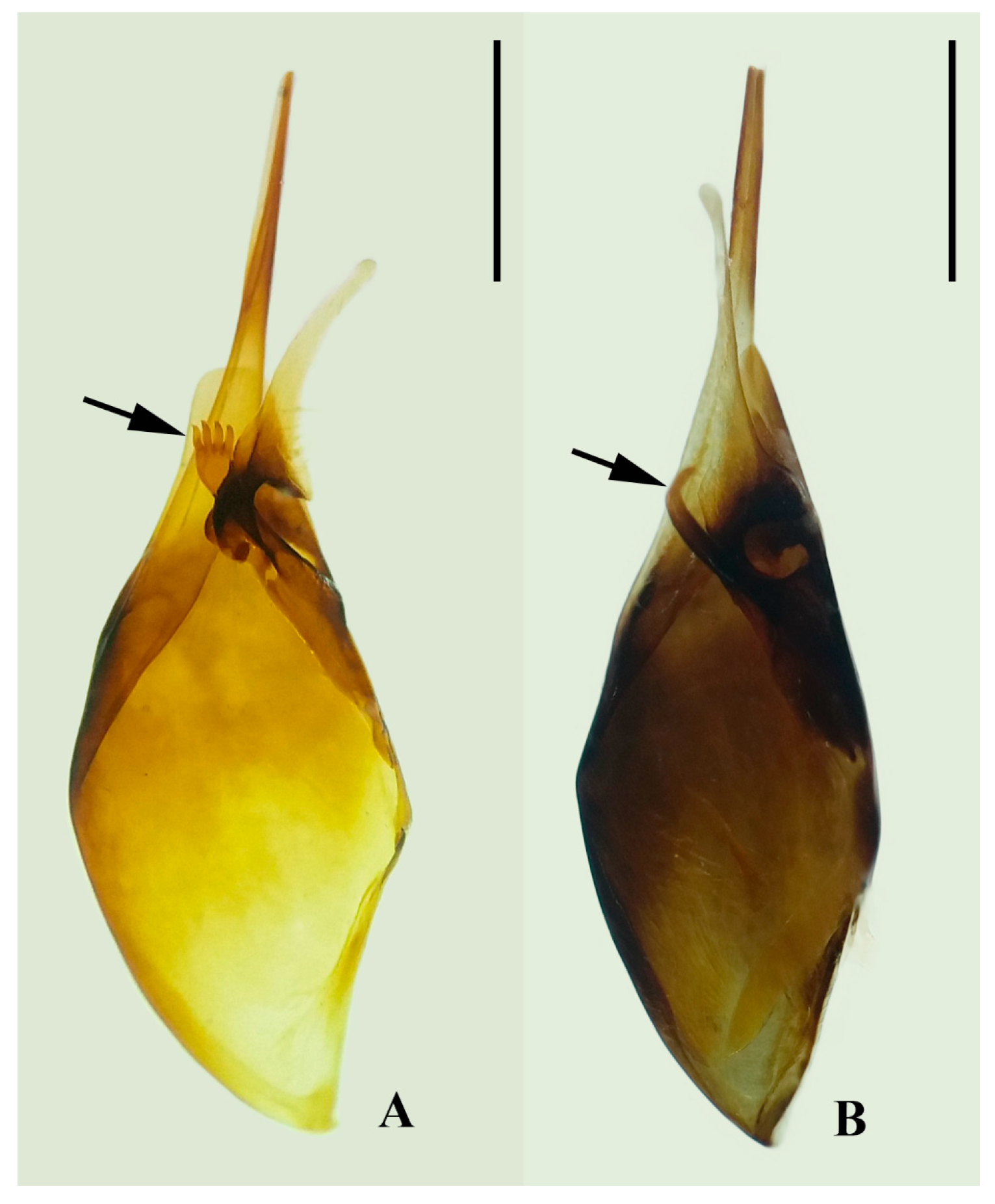 Insects 17 00078 g005