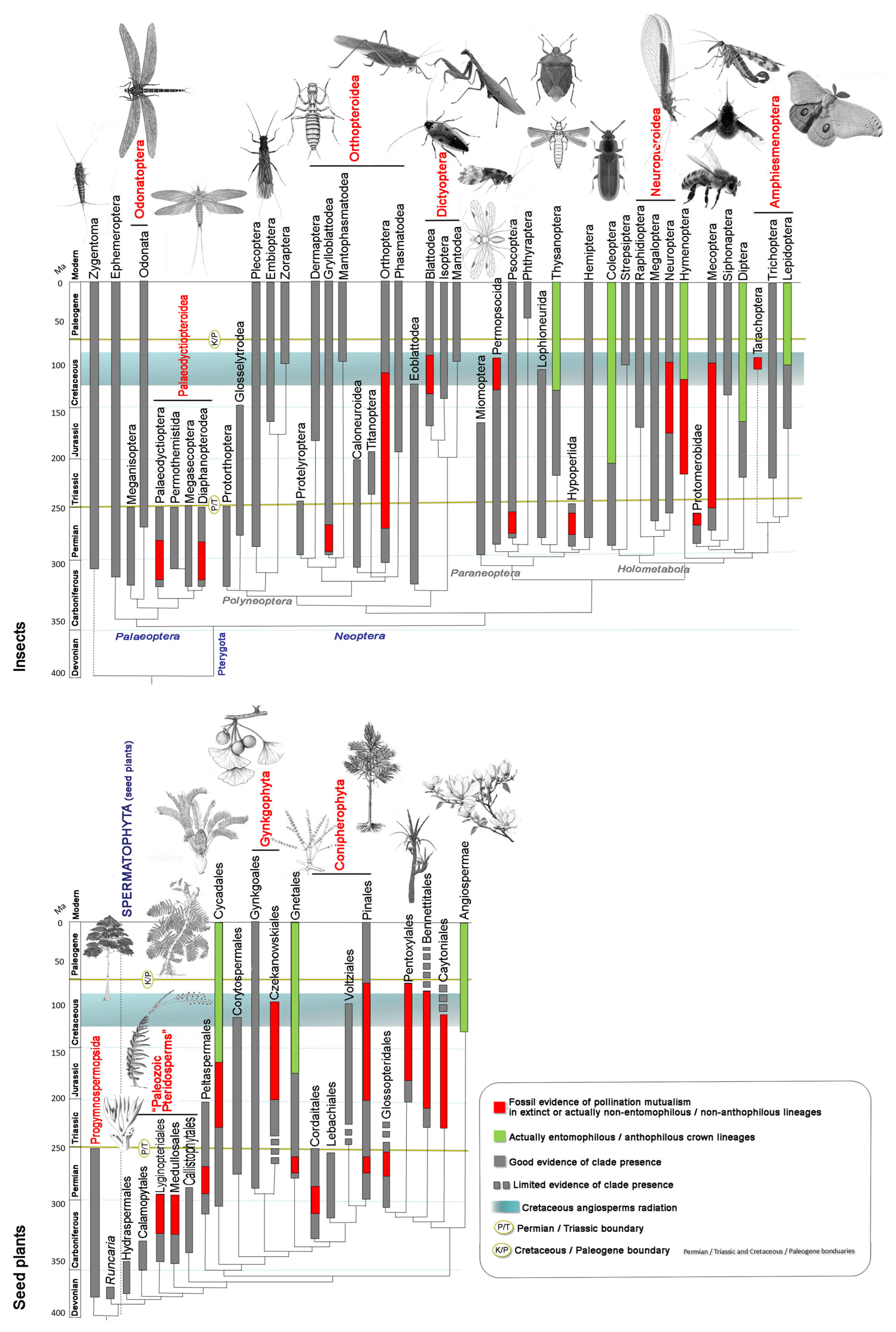 Insects 17 00103 g001