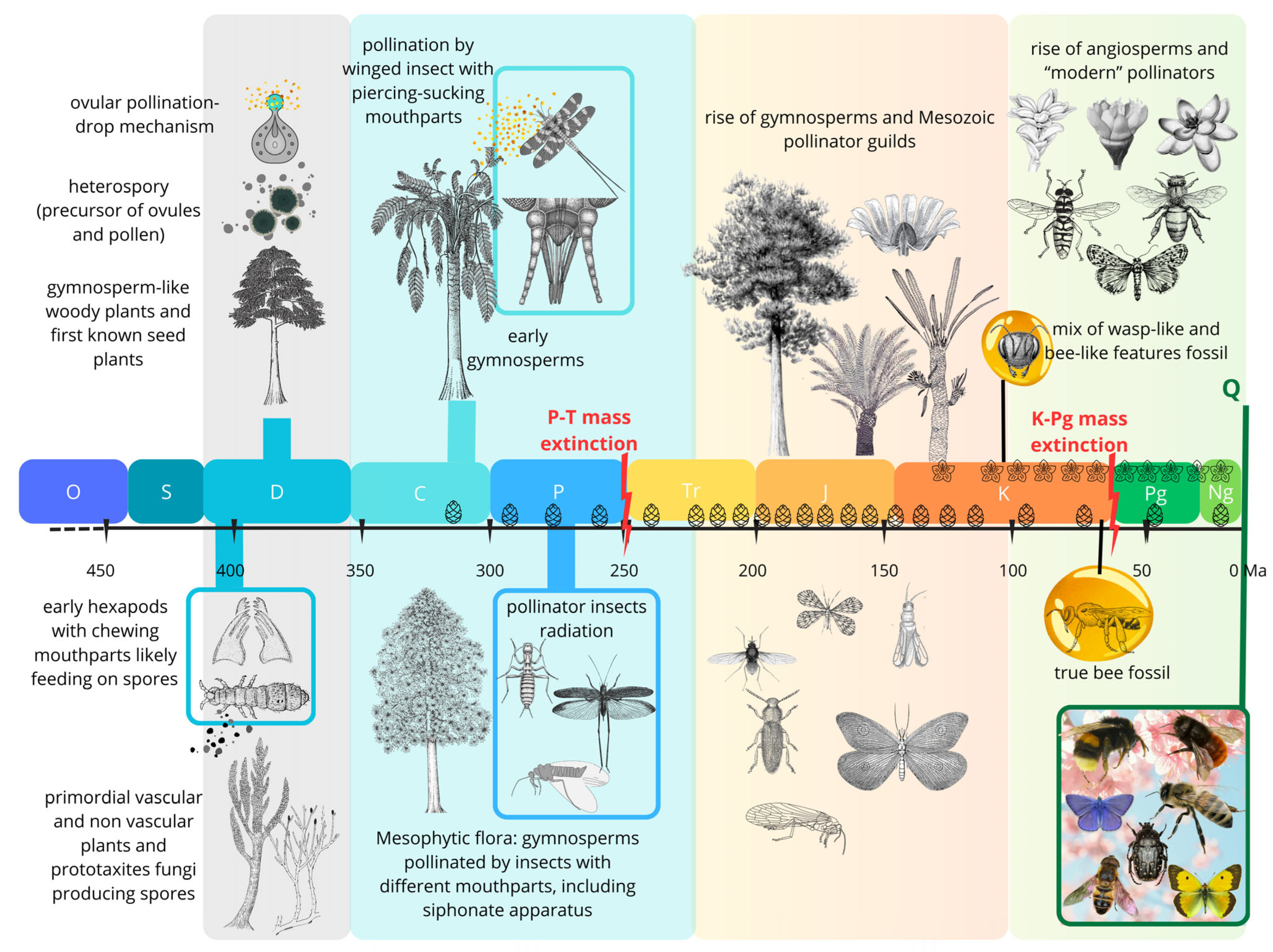 Insects 17 00103 g002