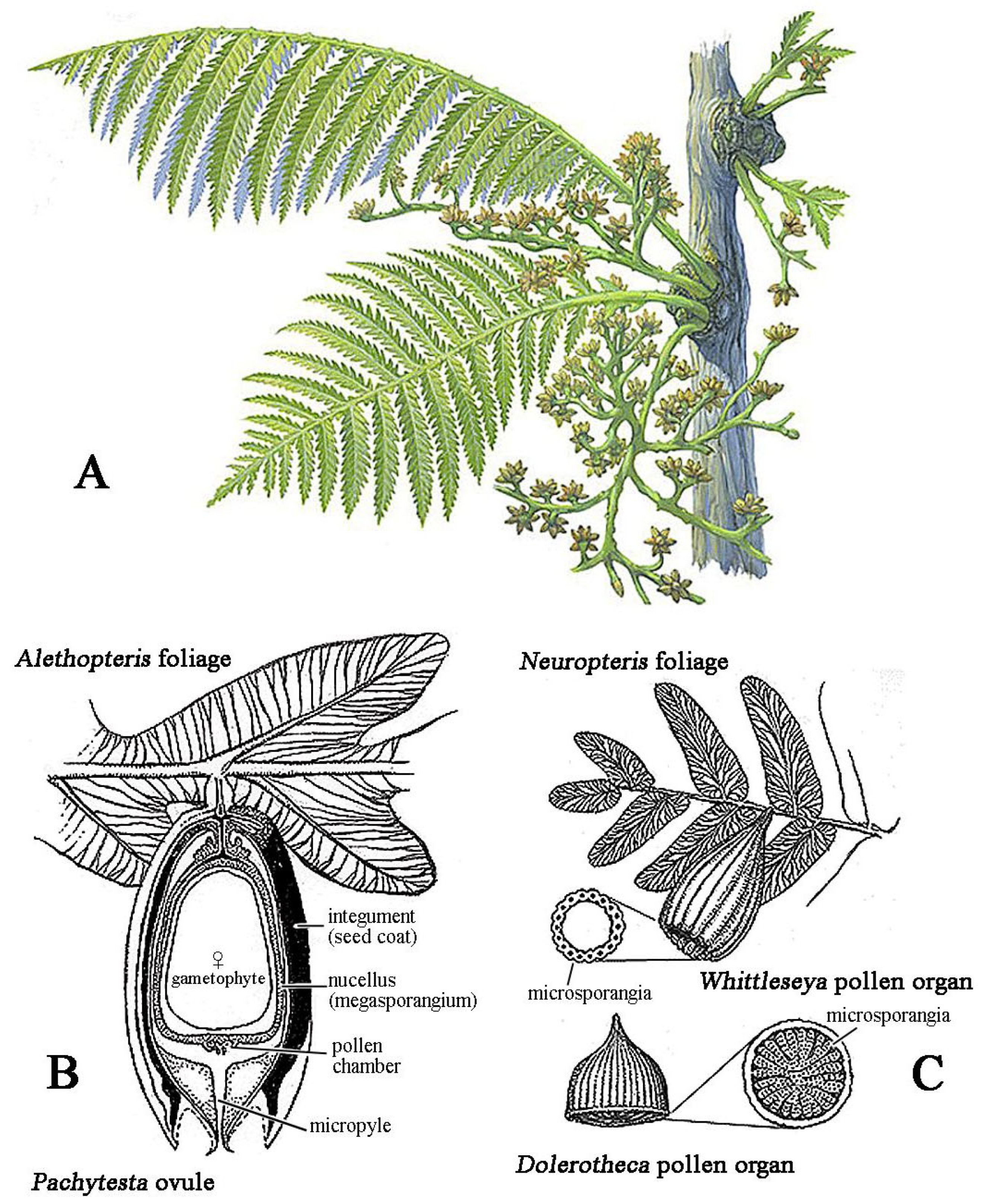 Insects 17 00103 g003