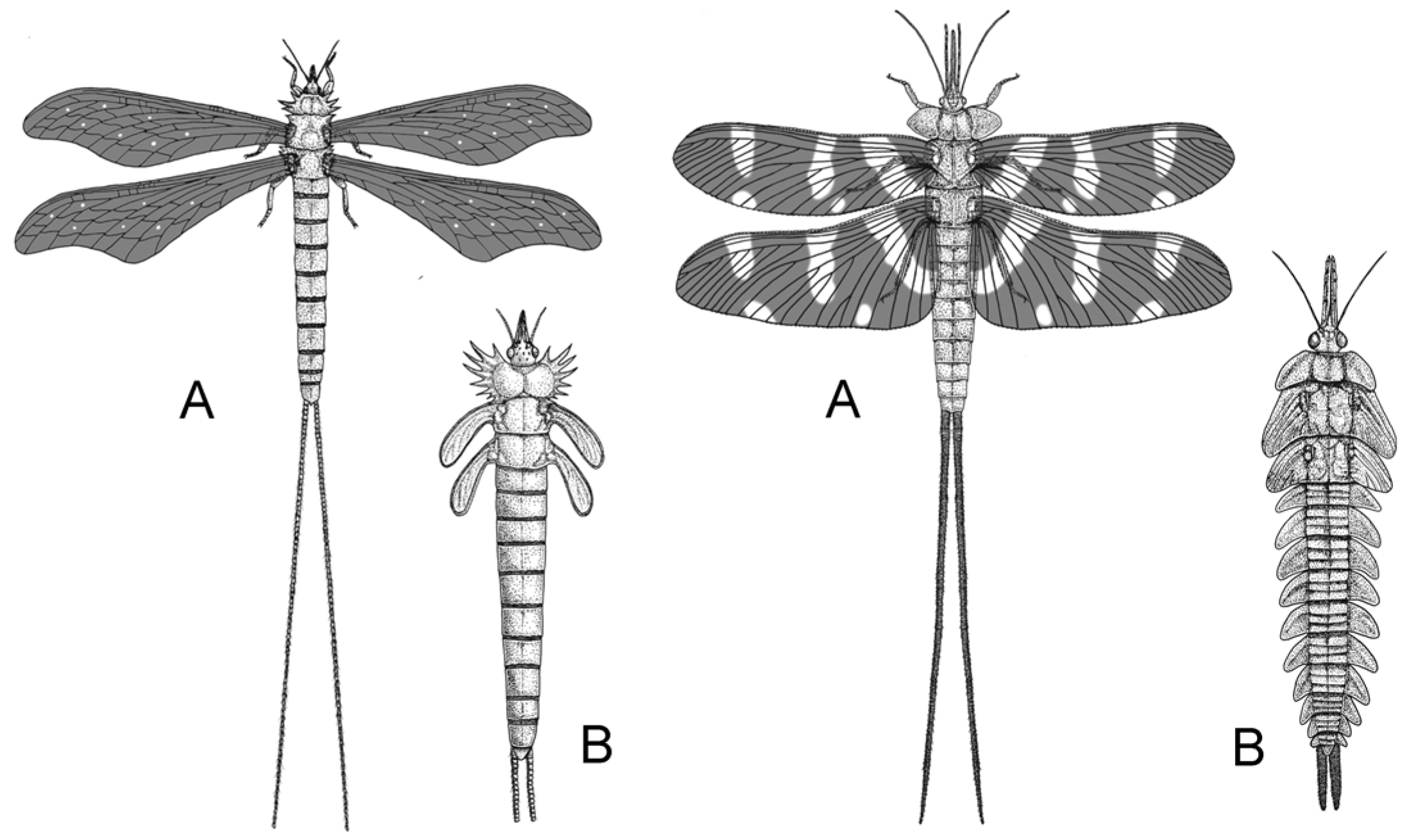 Insects 17 00103 g004