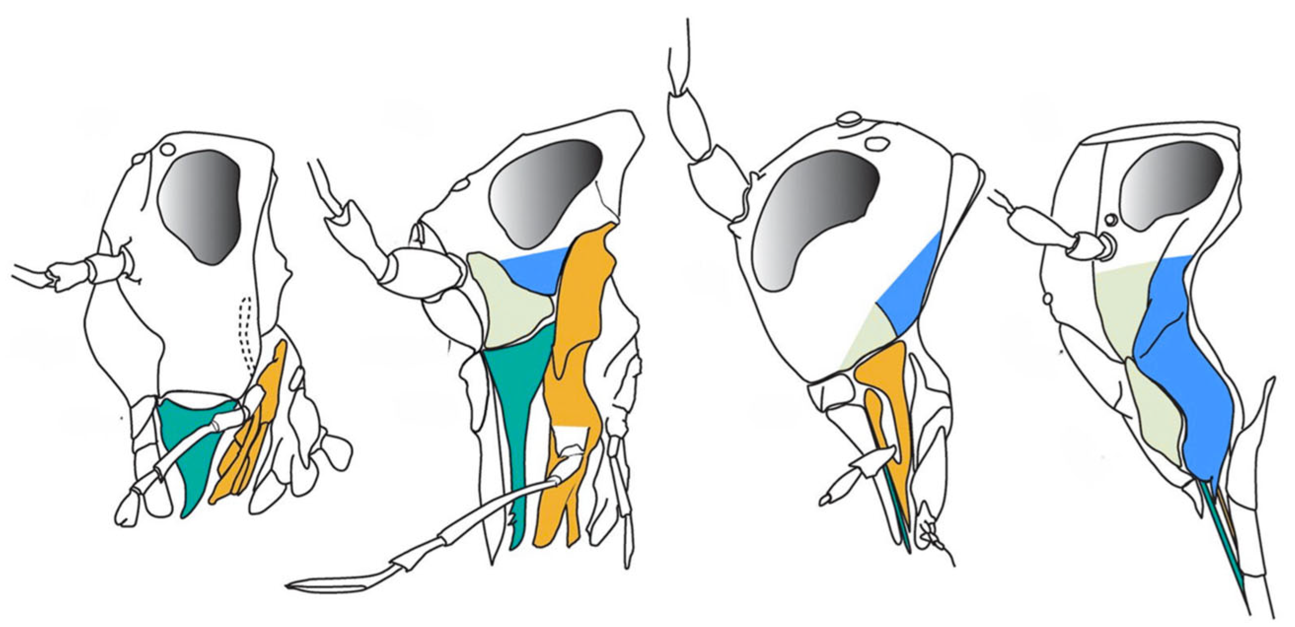 Insects 17 00103 g005