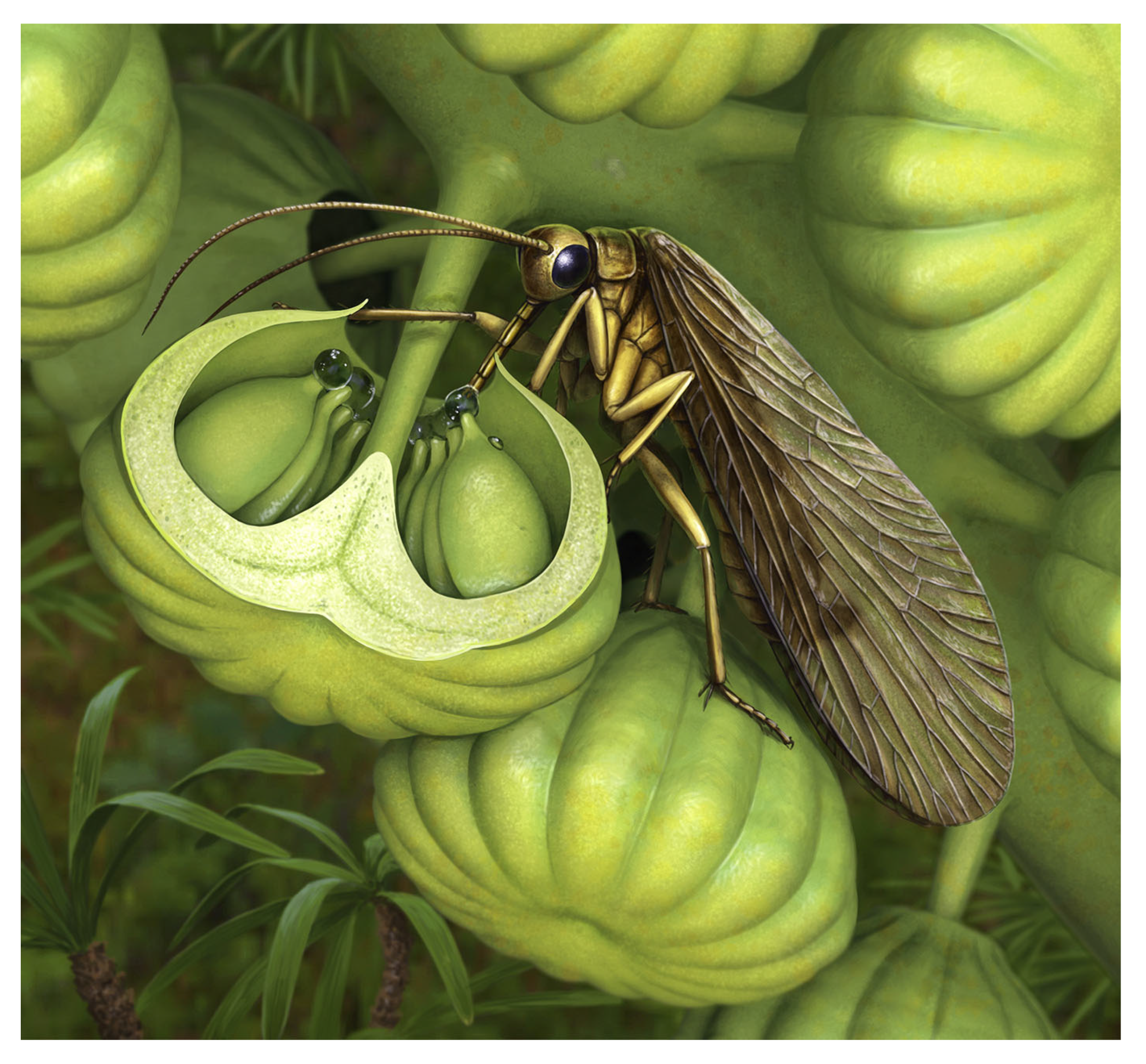 Insects 17 00103 g006