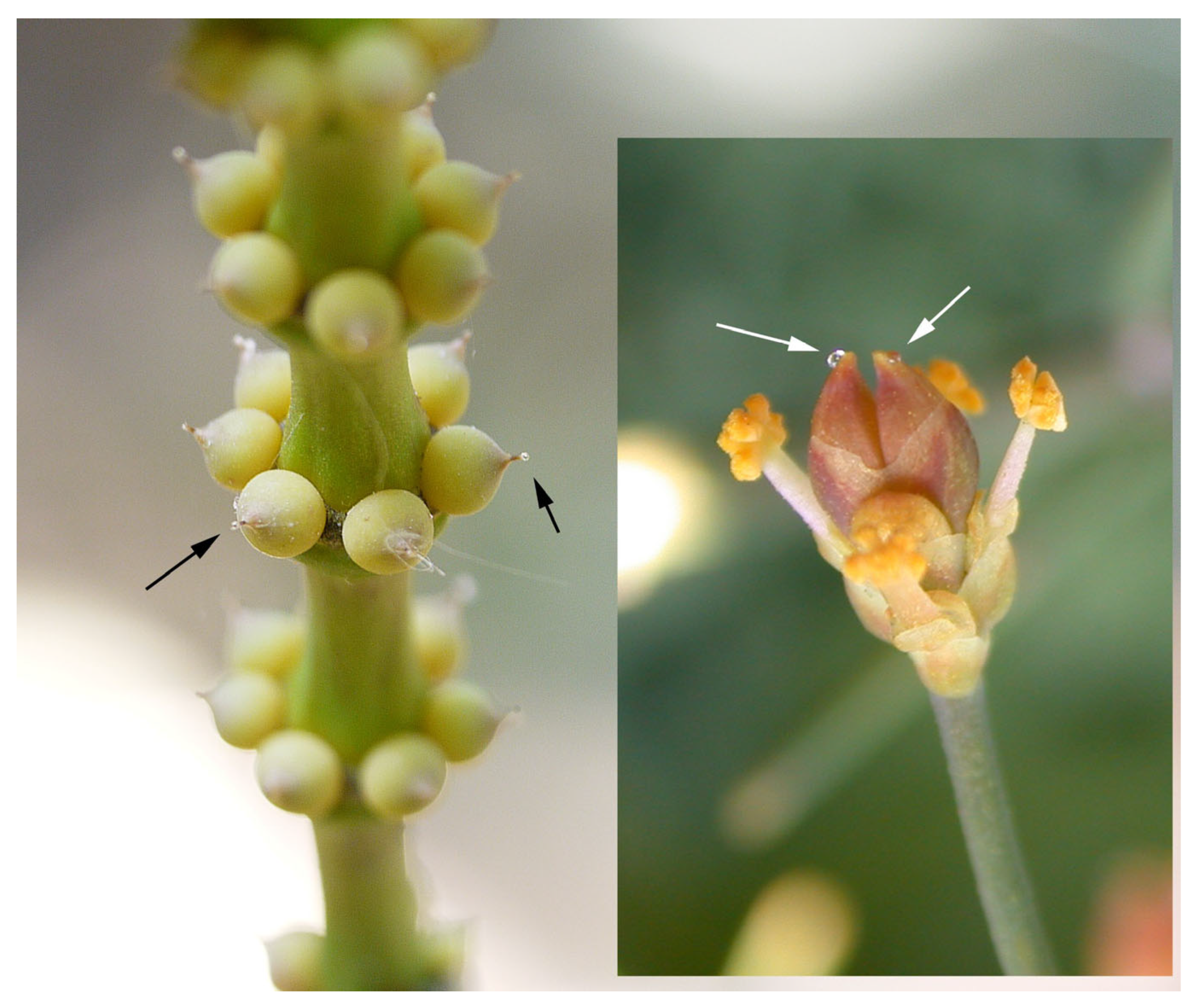 Insects 17 00103 g008