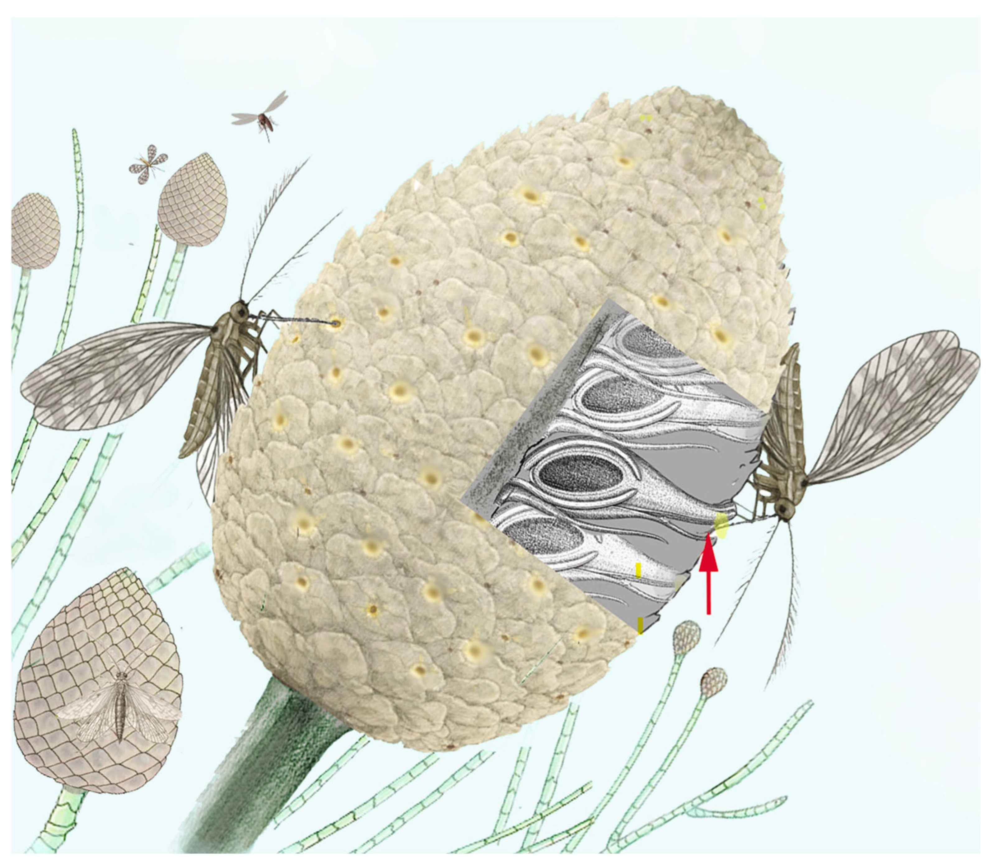 Insects 17 00103 g009