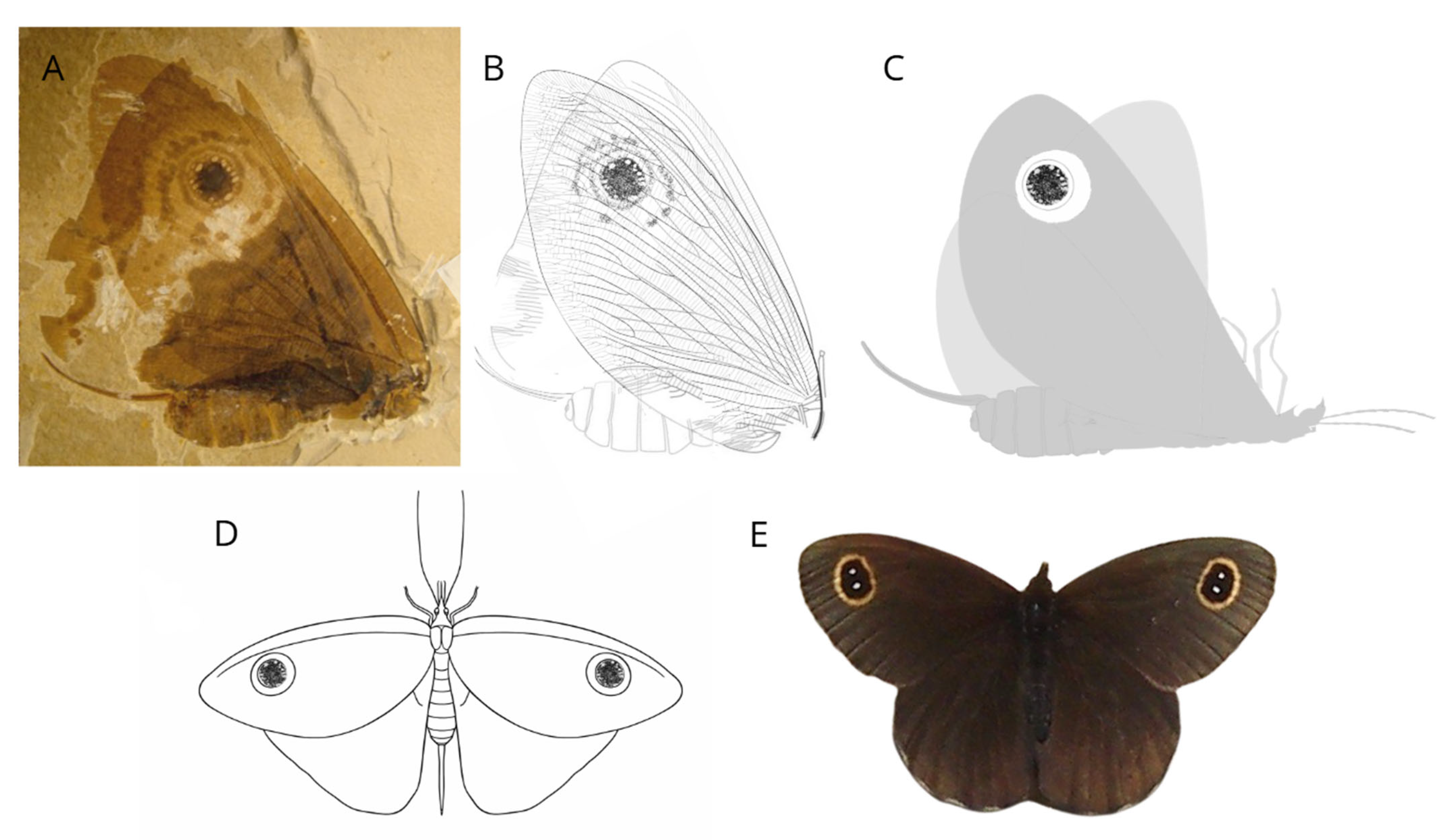 Insects 17 00103 g010