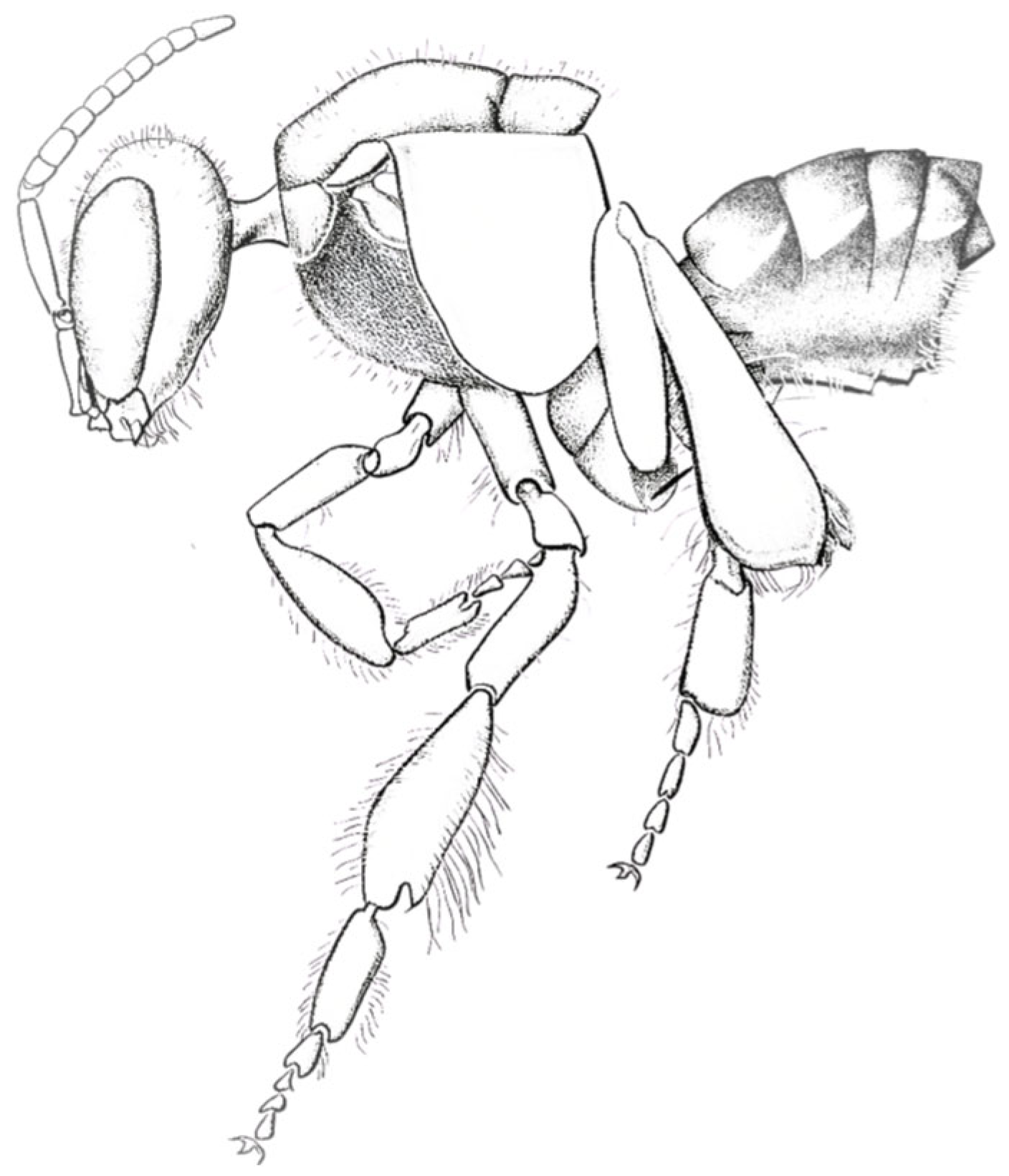 Insects 17 00103 g011