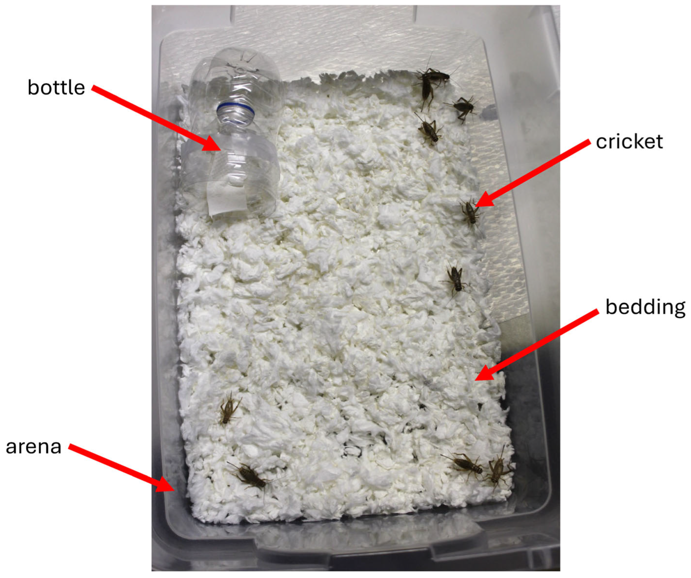 Insects 17 00106 g001