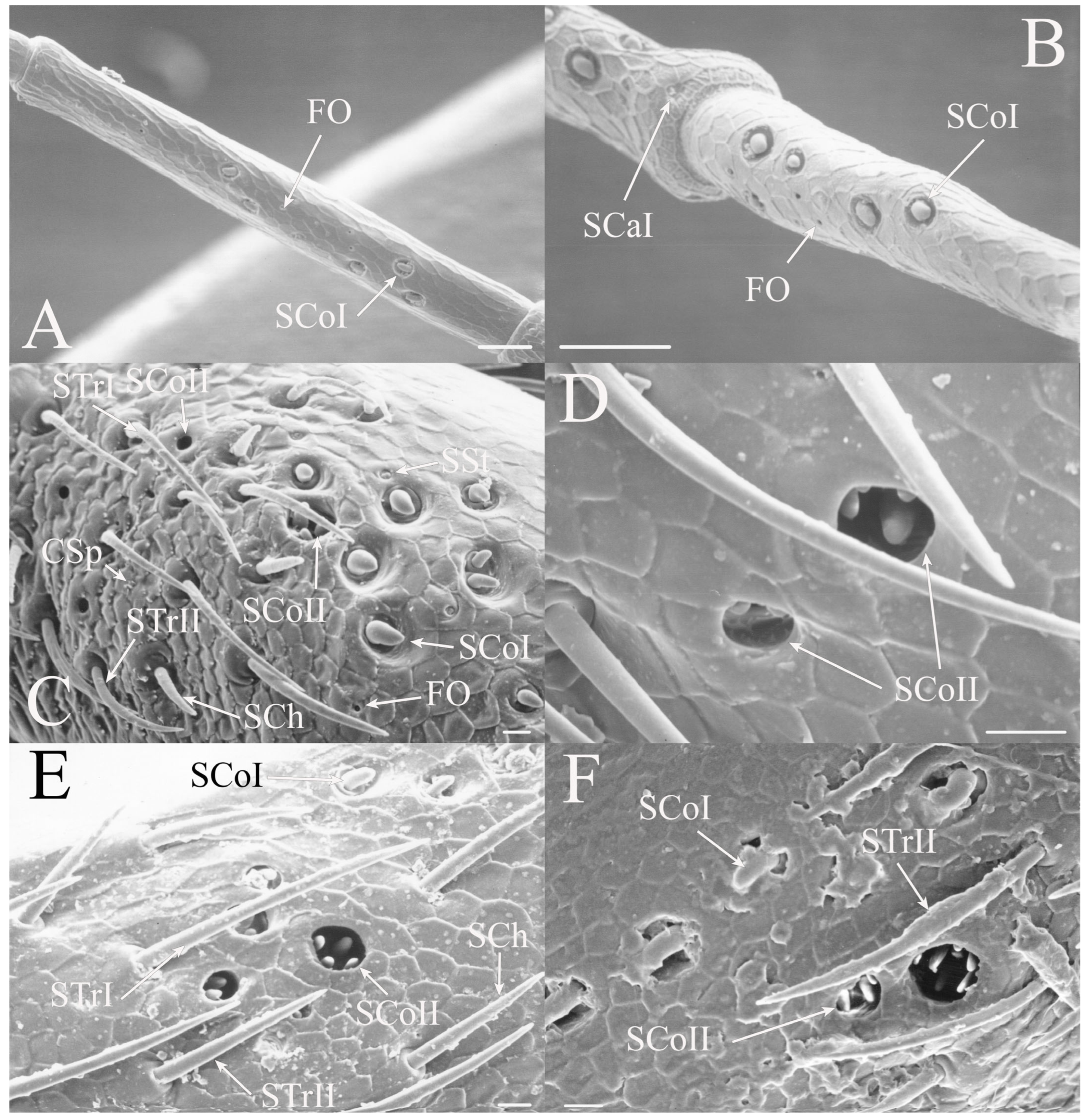 Insects 17 00115 g003