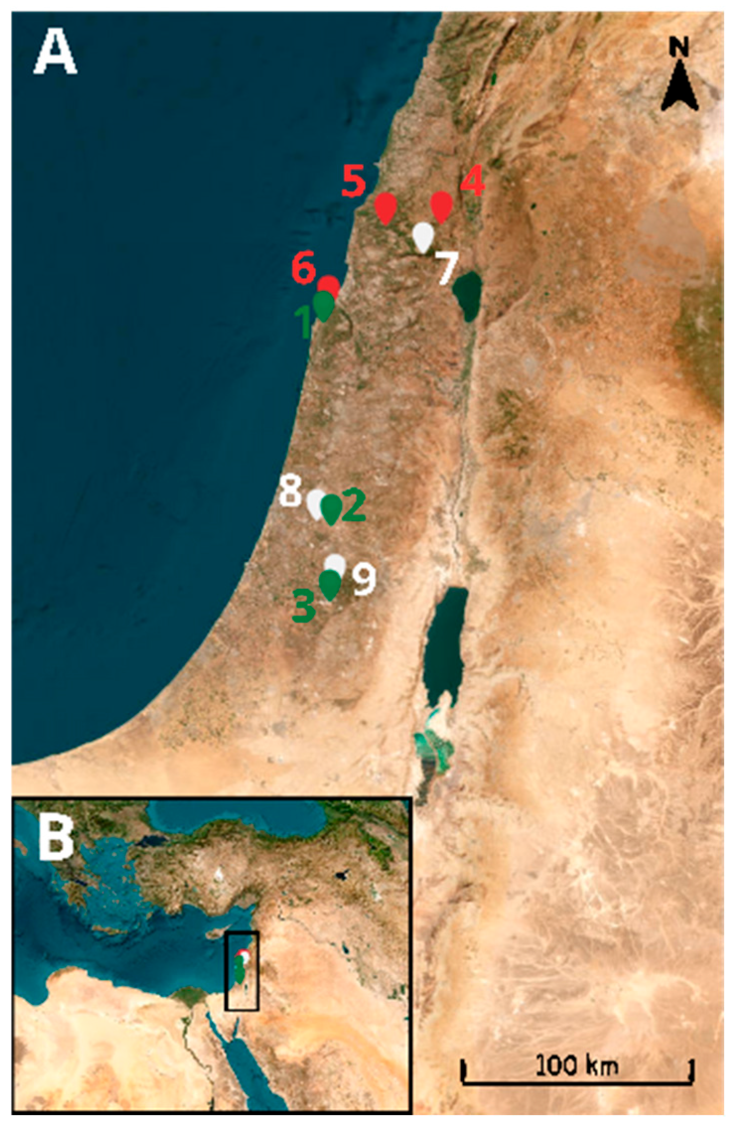 Insects 17 00118 g001