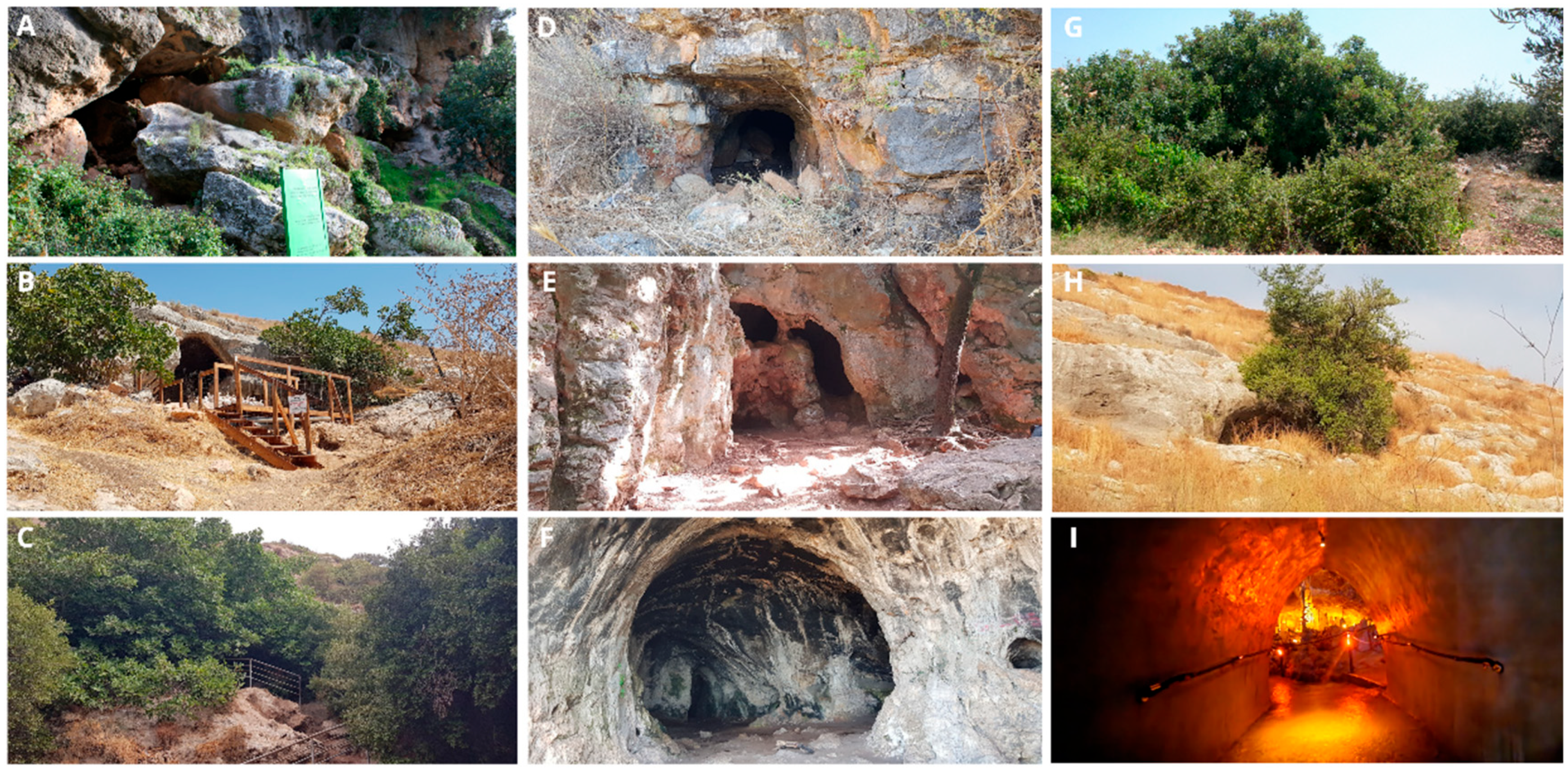 Insects 17 00118 g002