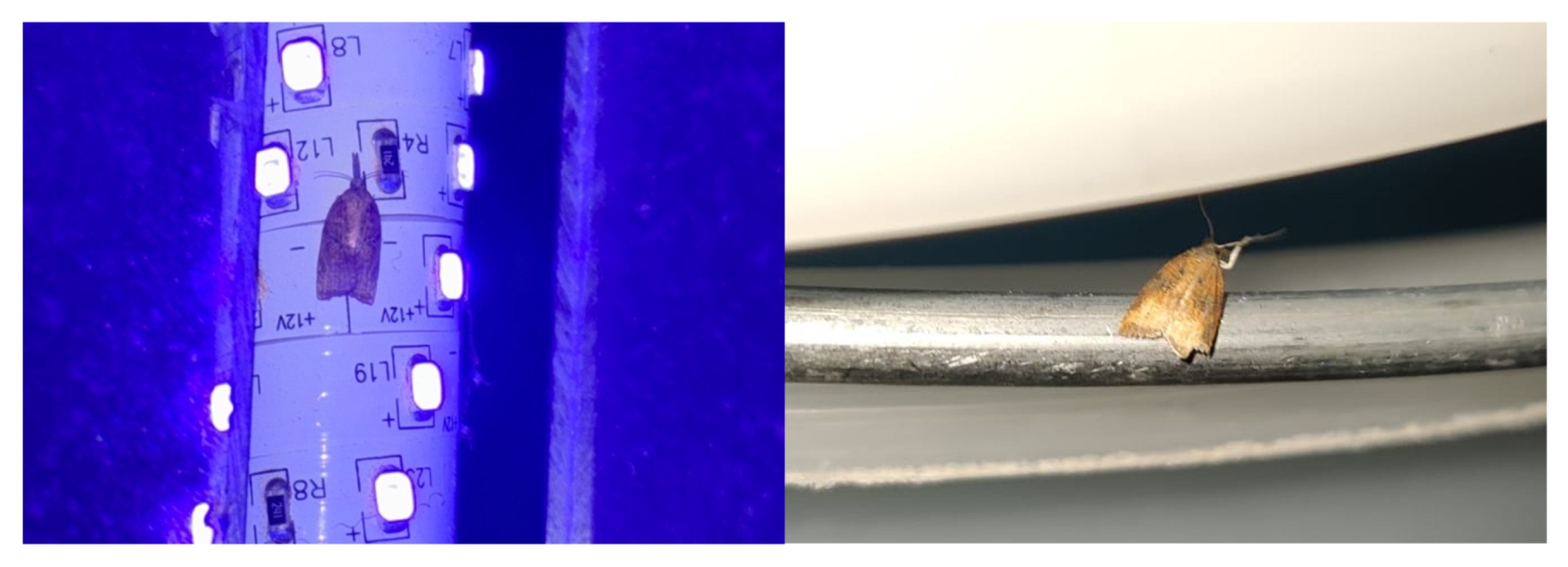 Insects 17 00122 g002